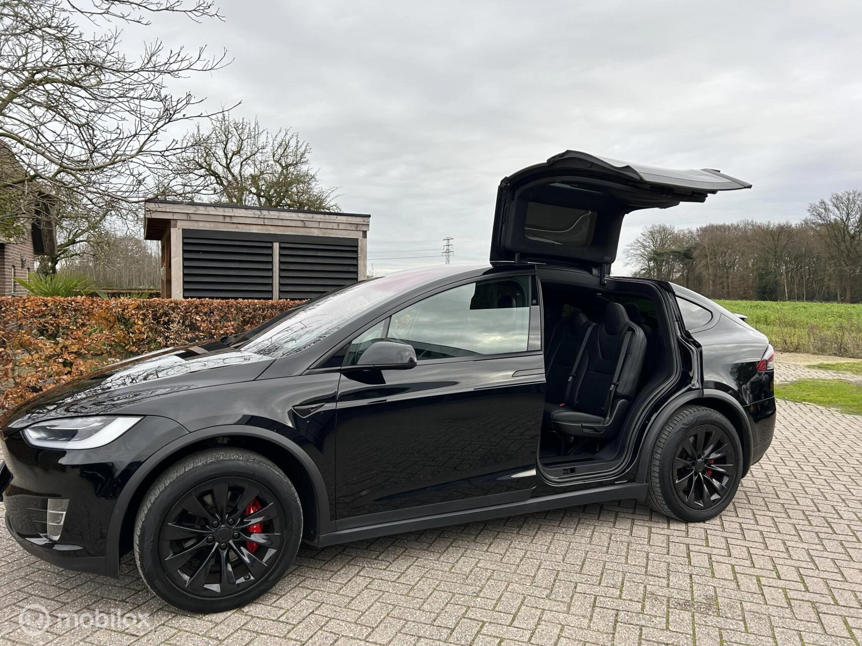 Hoofdafbeelding Tesla Model X