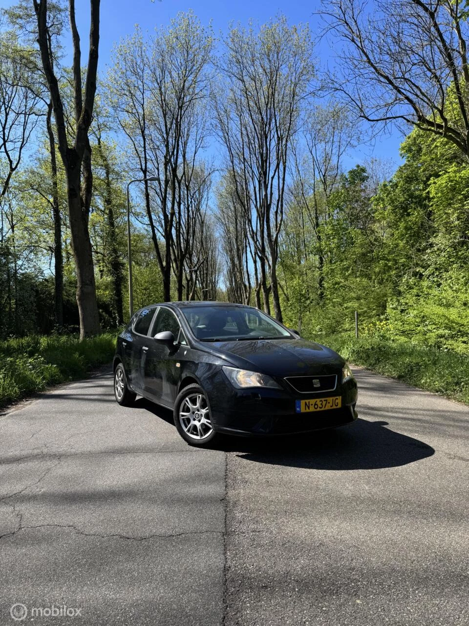 Hoofdafbeelding SEAT Ibiza