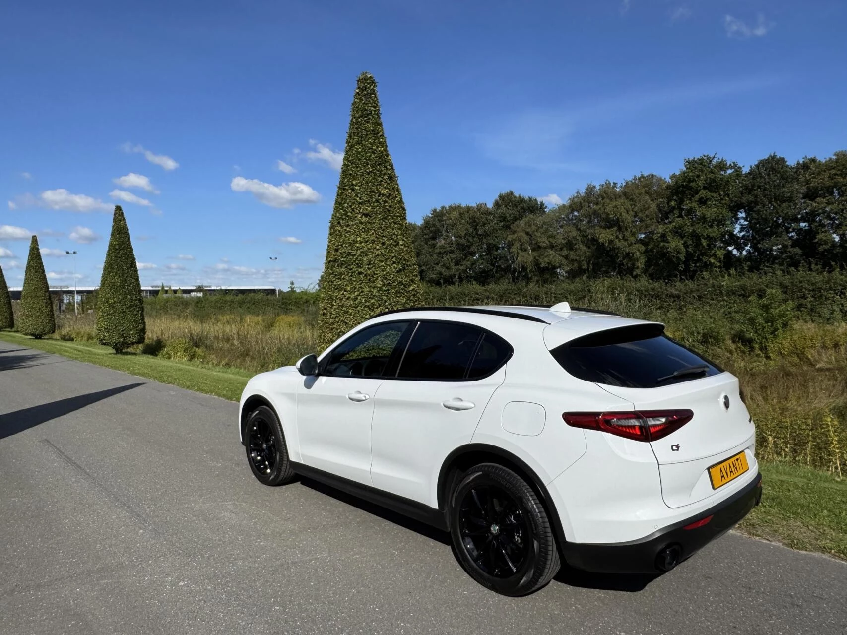 Hoofdafbeelding Alfa Romeo Stelvio