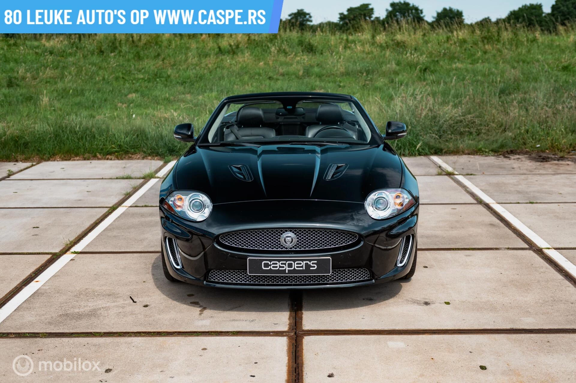 Hoofdafbeelding Jaguar XK