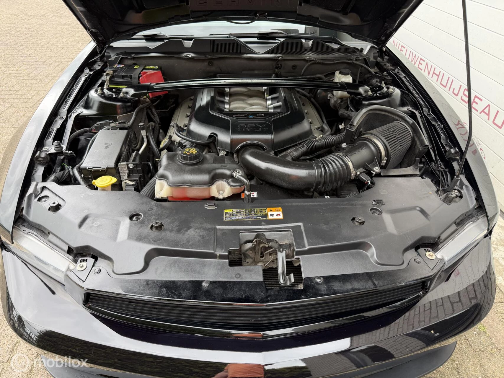 Hoofdafbeelding Ford Mustang