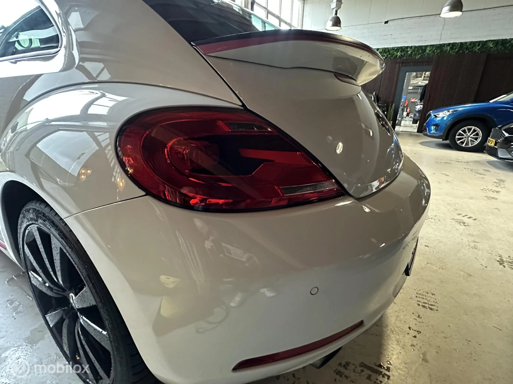 Hoofdafbeelding Volkswagen Beetle