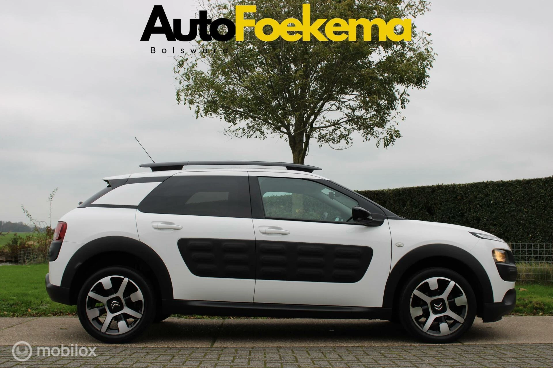 Hoofdafbeelding Citroën C4 Cactus