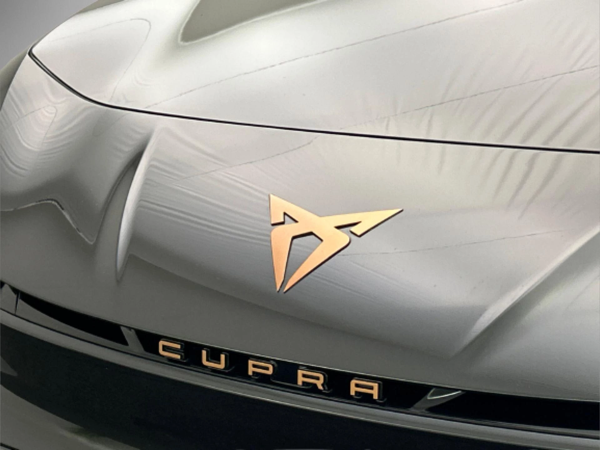 Hoofdafbeelding CUPRA Born