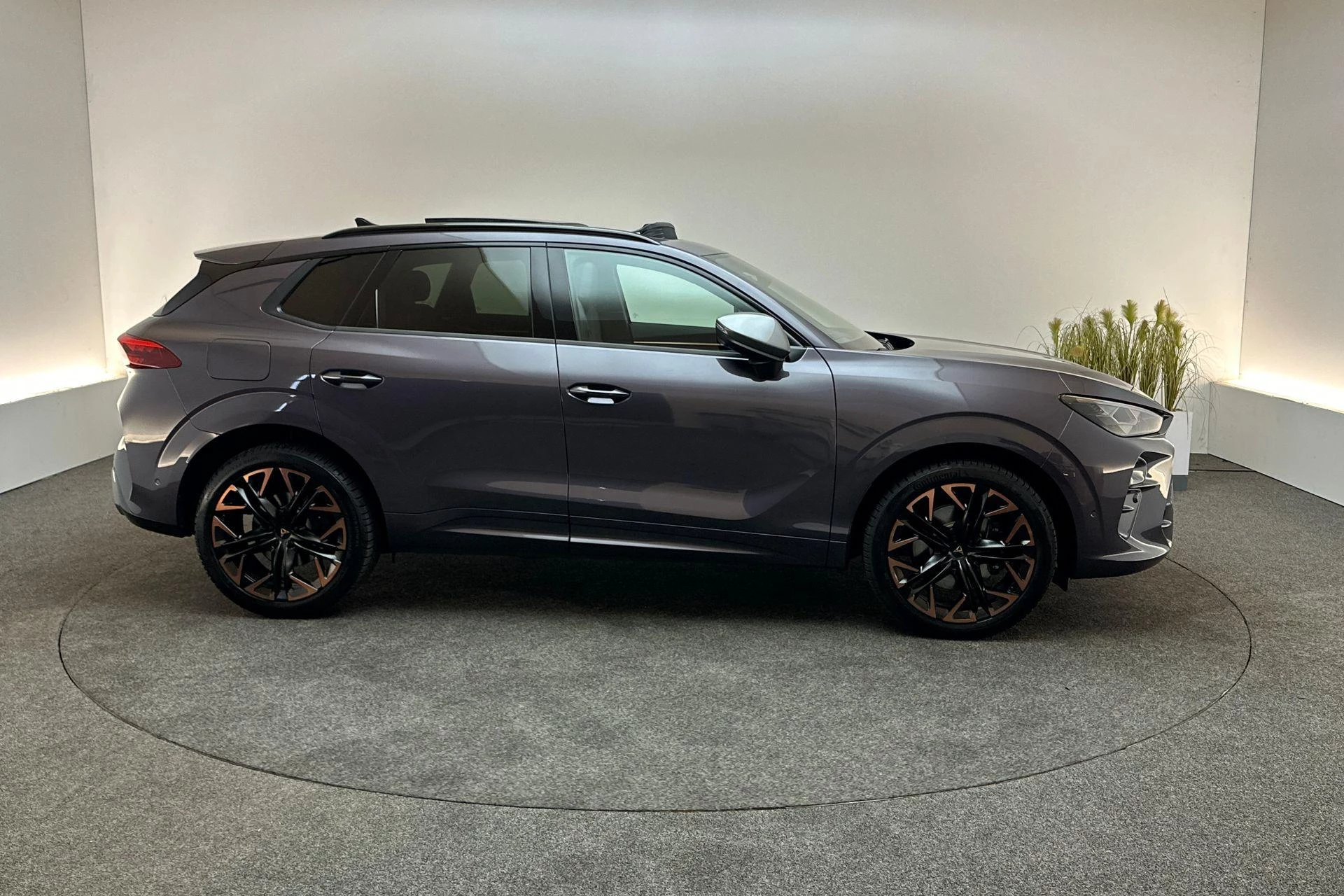 Hoofdafbeelding CUPRA Terramar