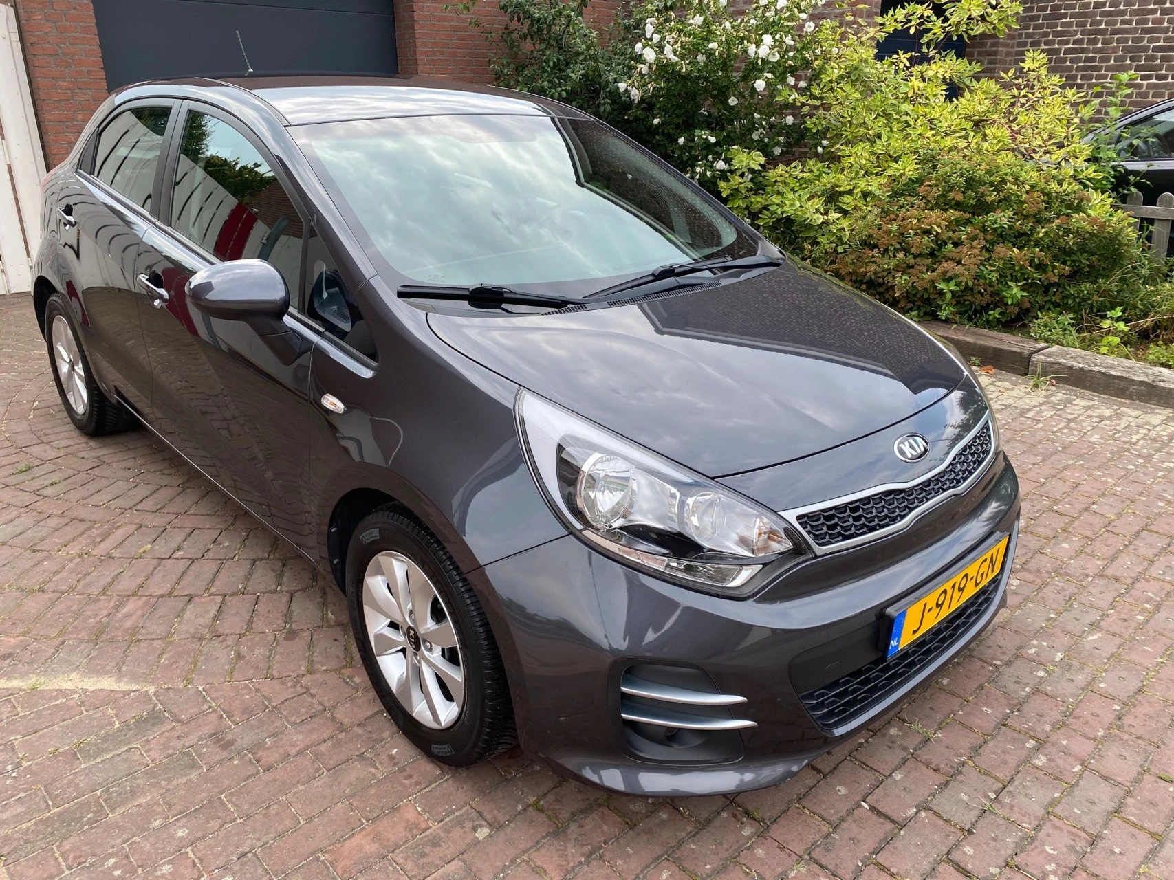 Hoofdafbeelding Kia Rio