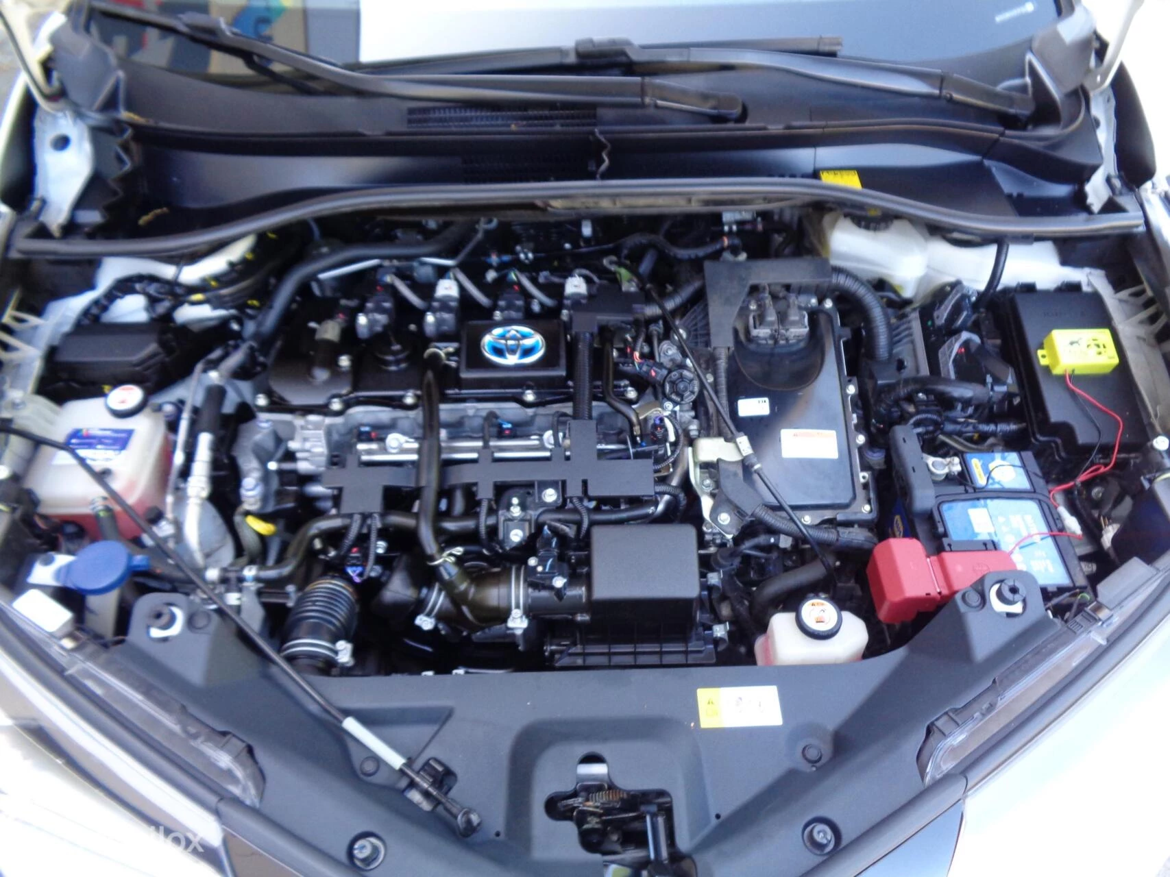 Hoofdafbeelding Toyota C-HR