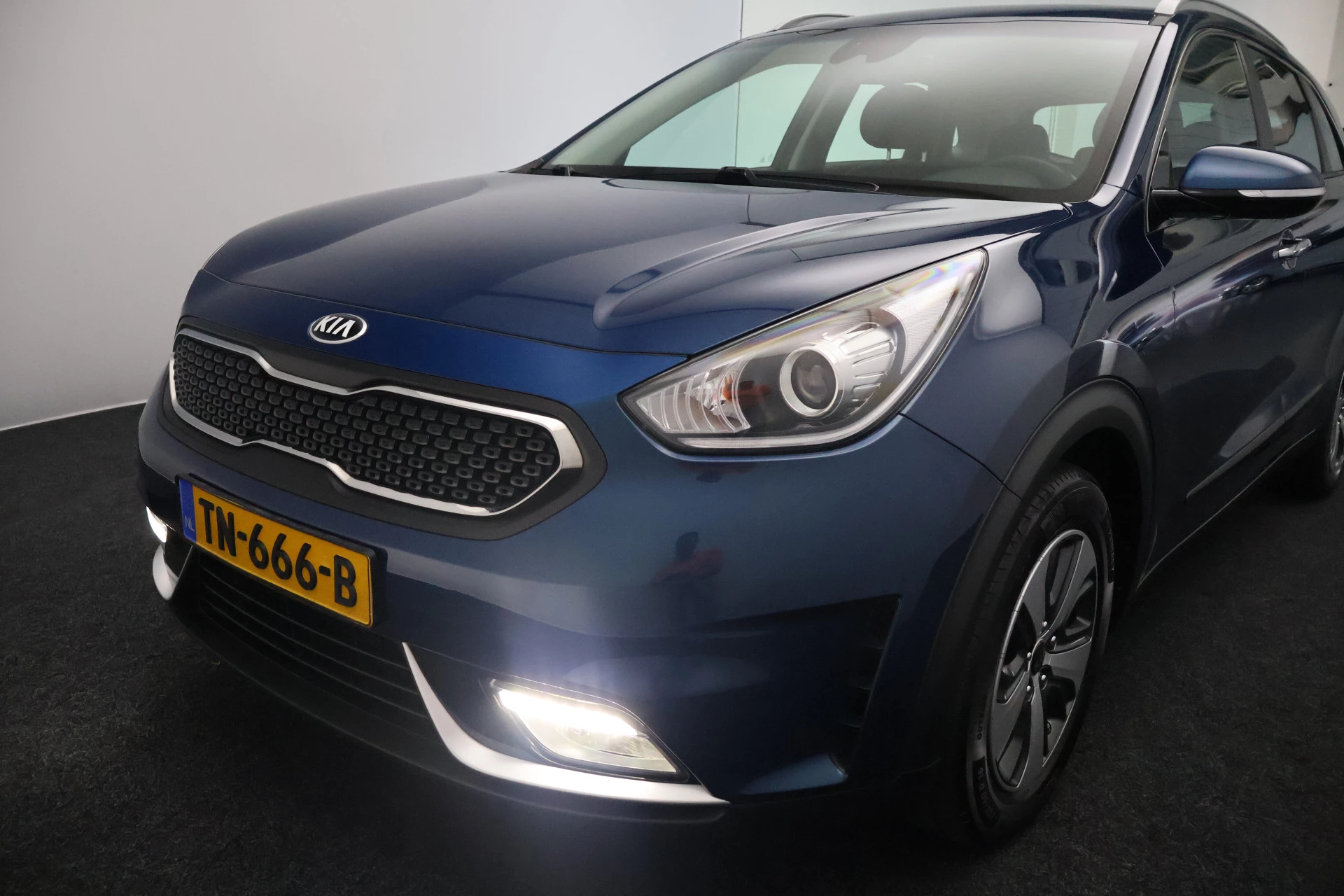 Hoofdafbeelding Kia Niro