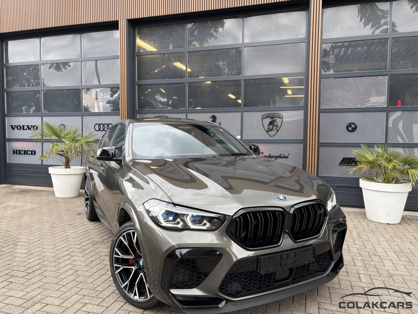 Hoofdafbeelding BMW X6