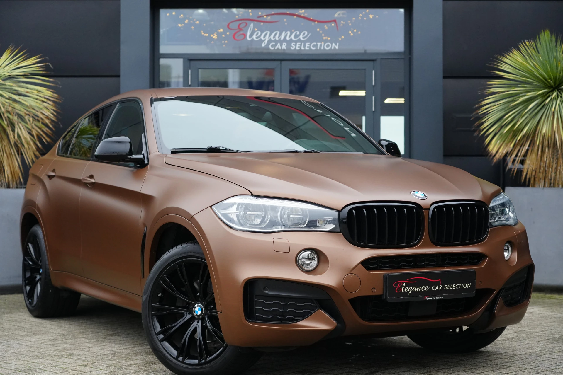 Hoofdafbeelding BMW X6