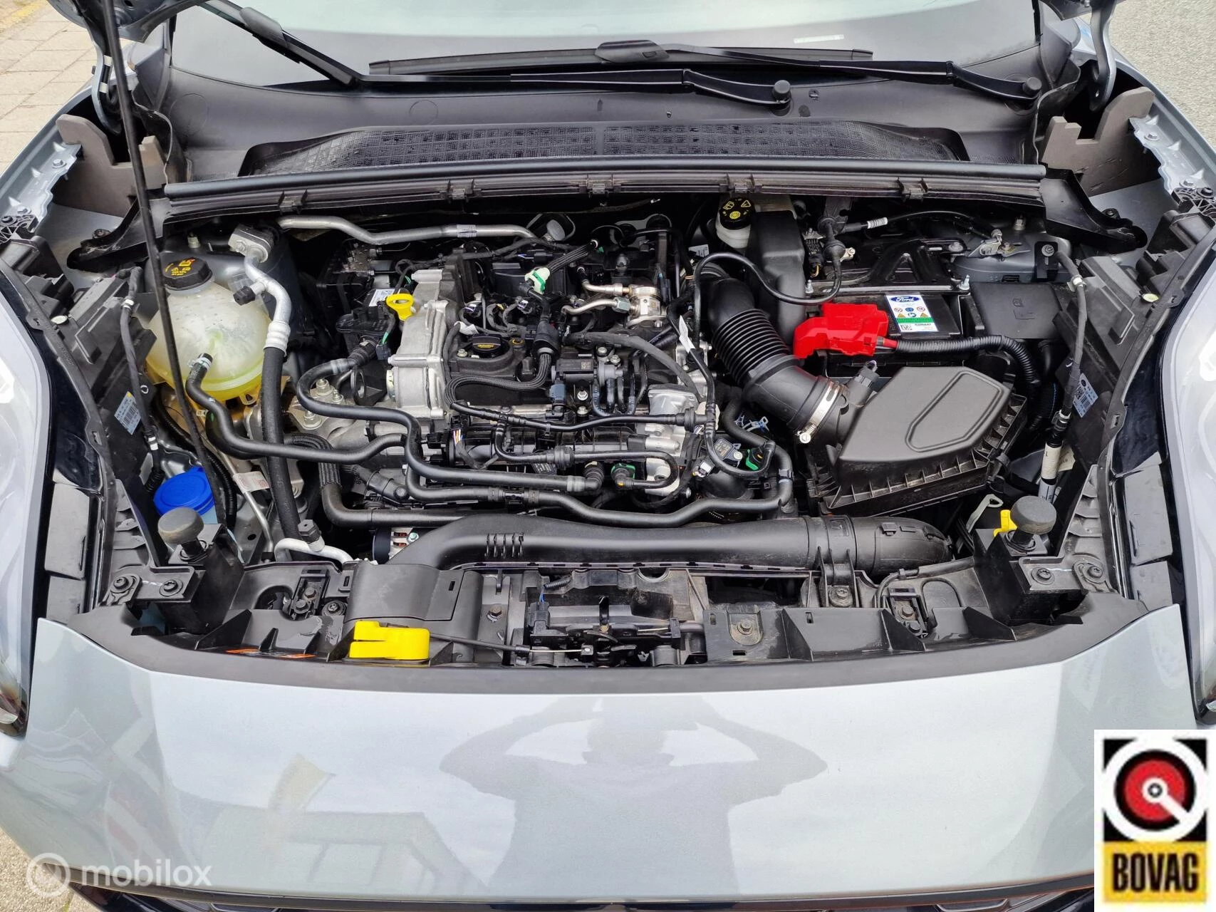 Hoofdafbeelding Ford Puma