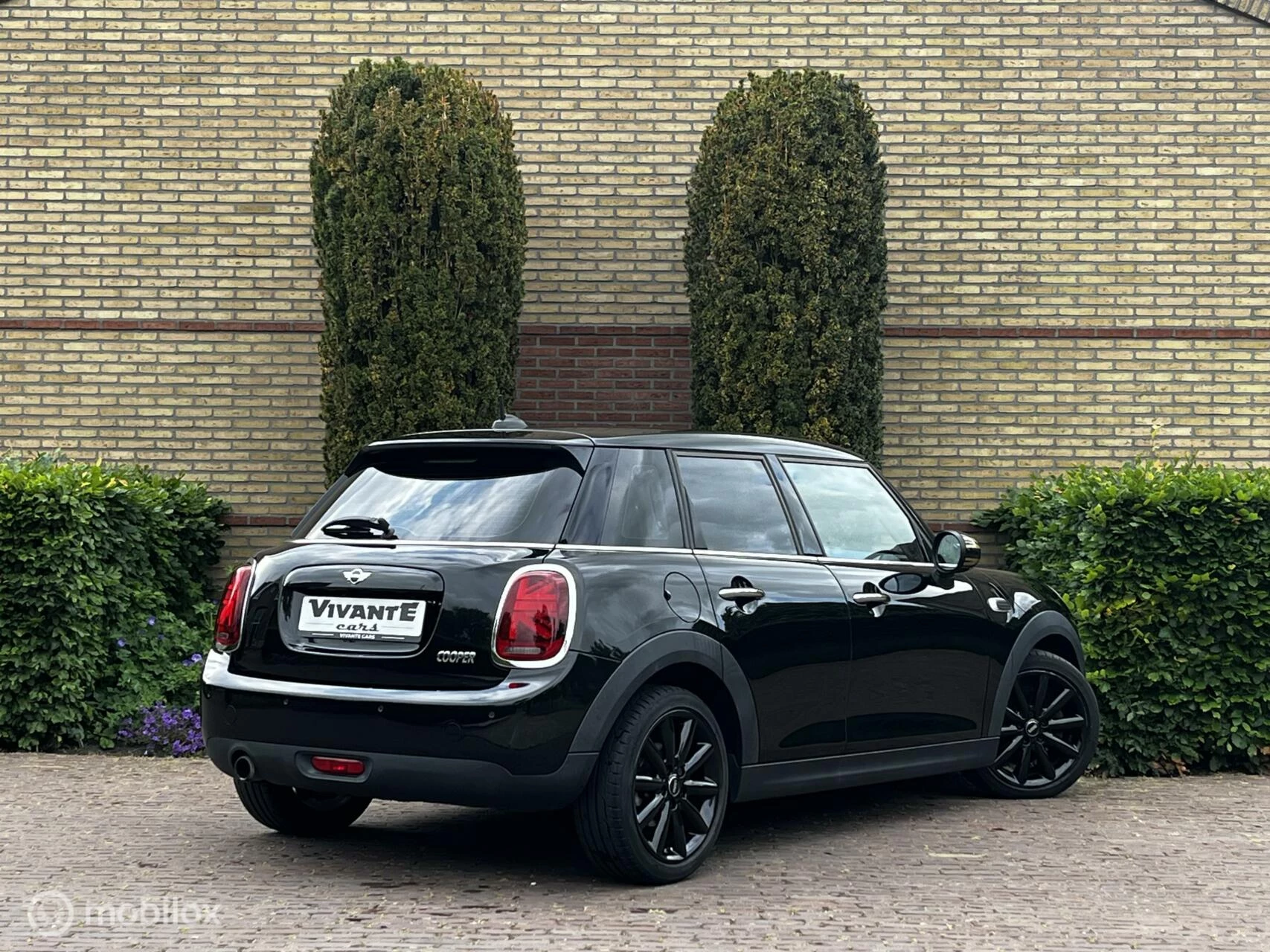 Hoofdafbeelding MINI Cooper