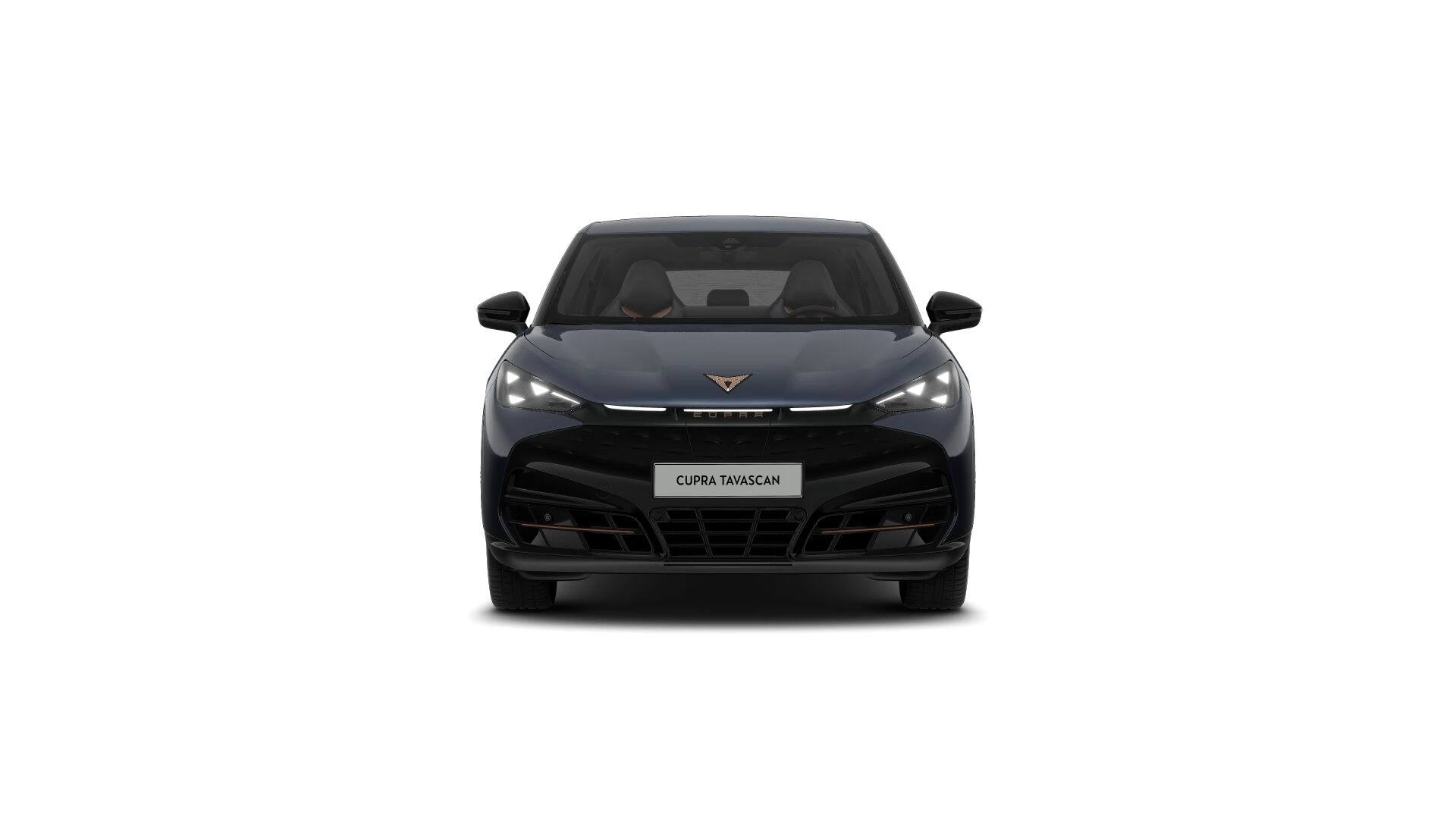 Hoofdafbeelding CUPRA Tavascan