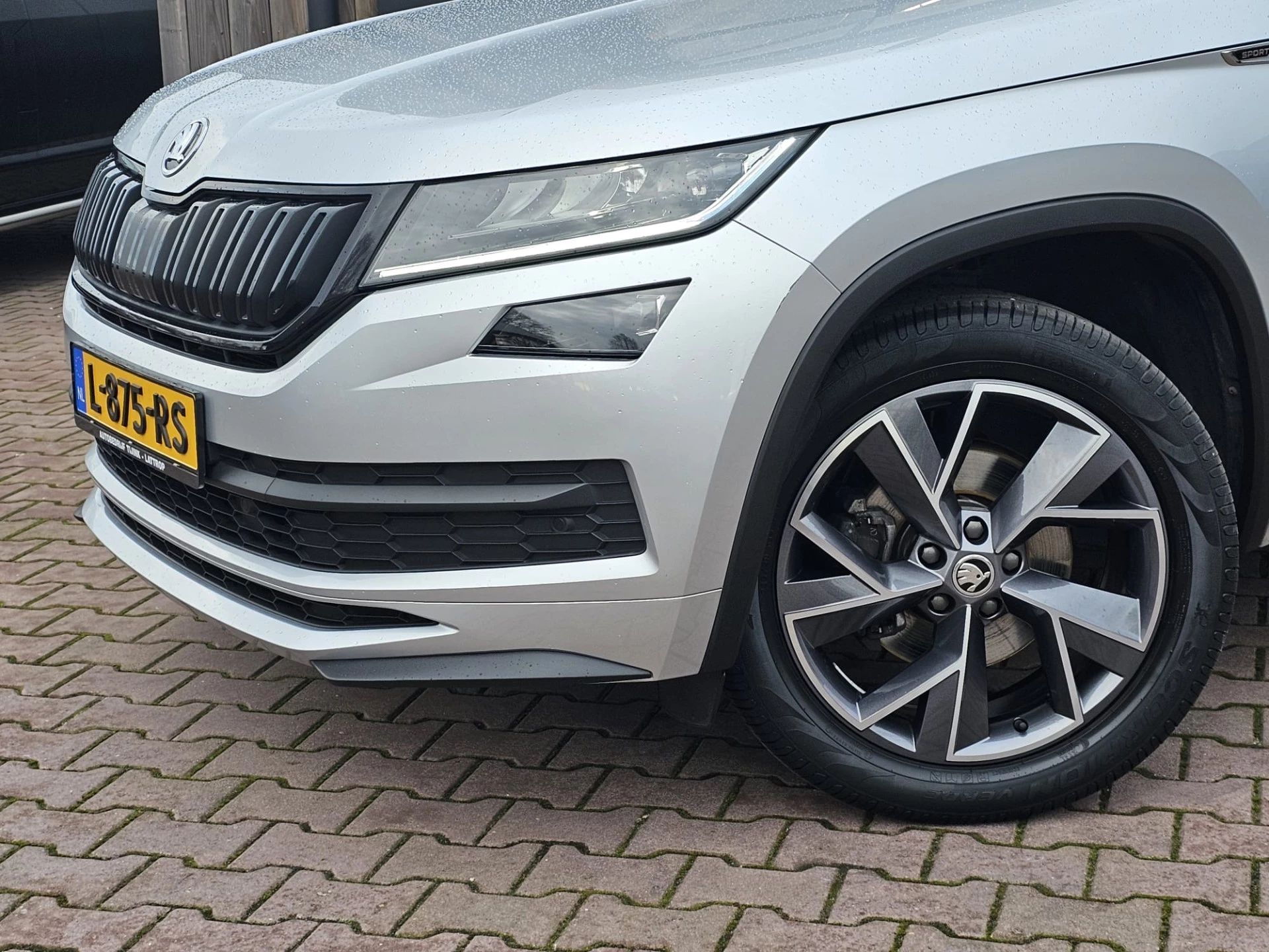 Hoofdafbeelding Škoda Kodiaq