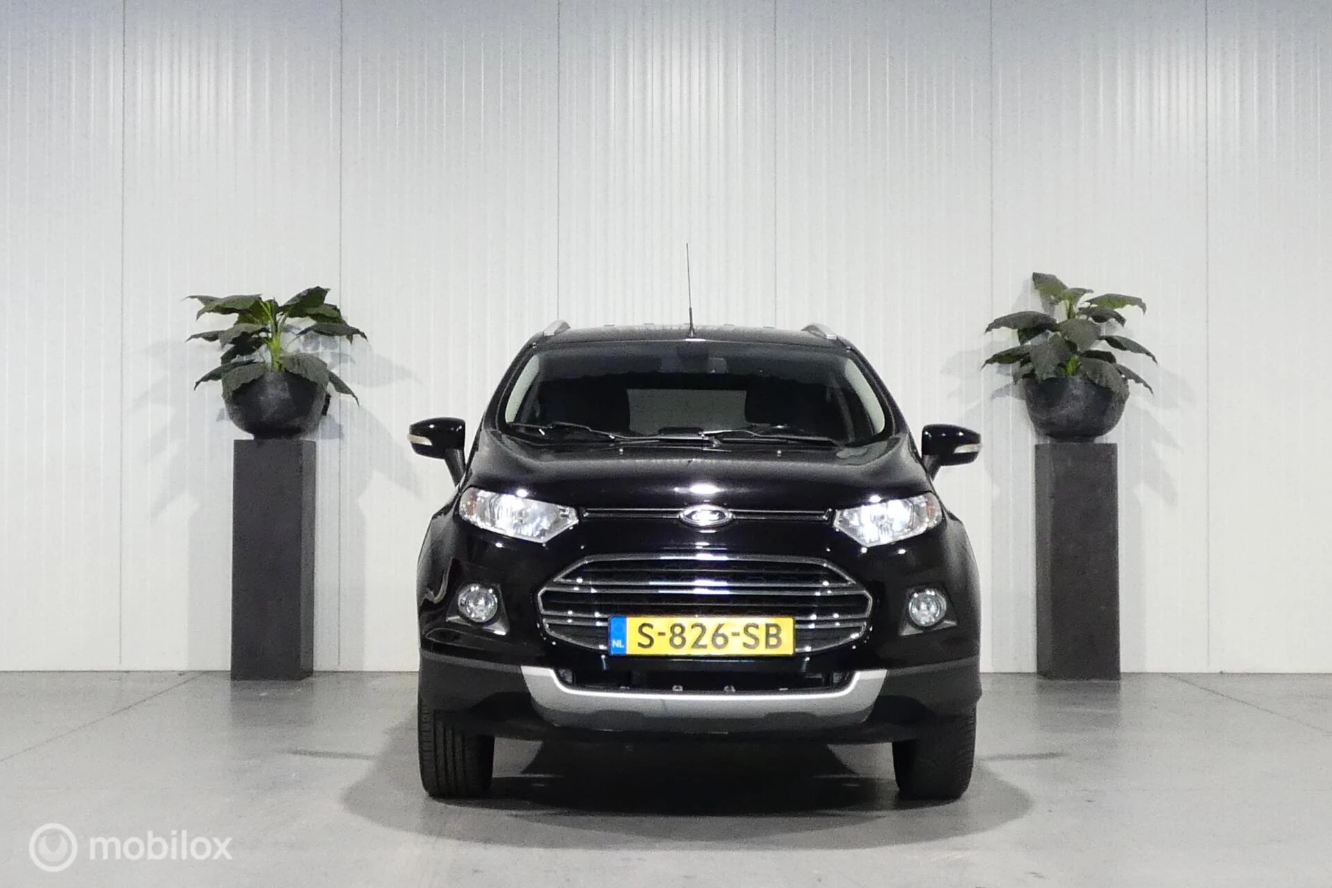 Hoofdafbeelding Ford EcoSport