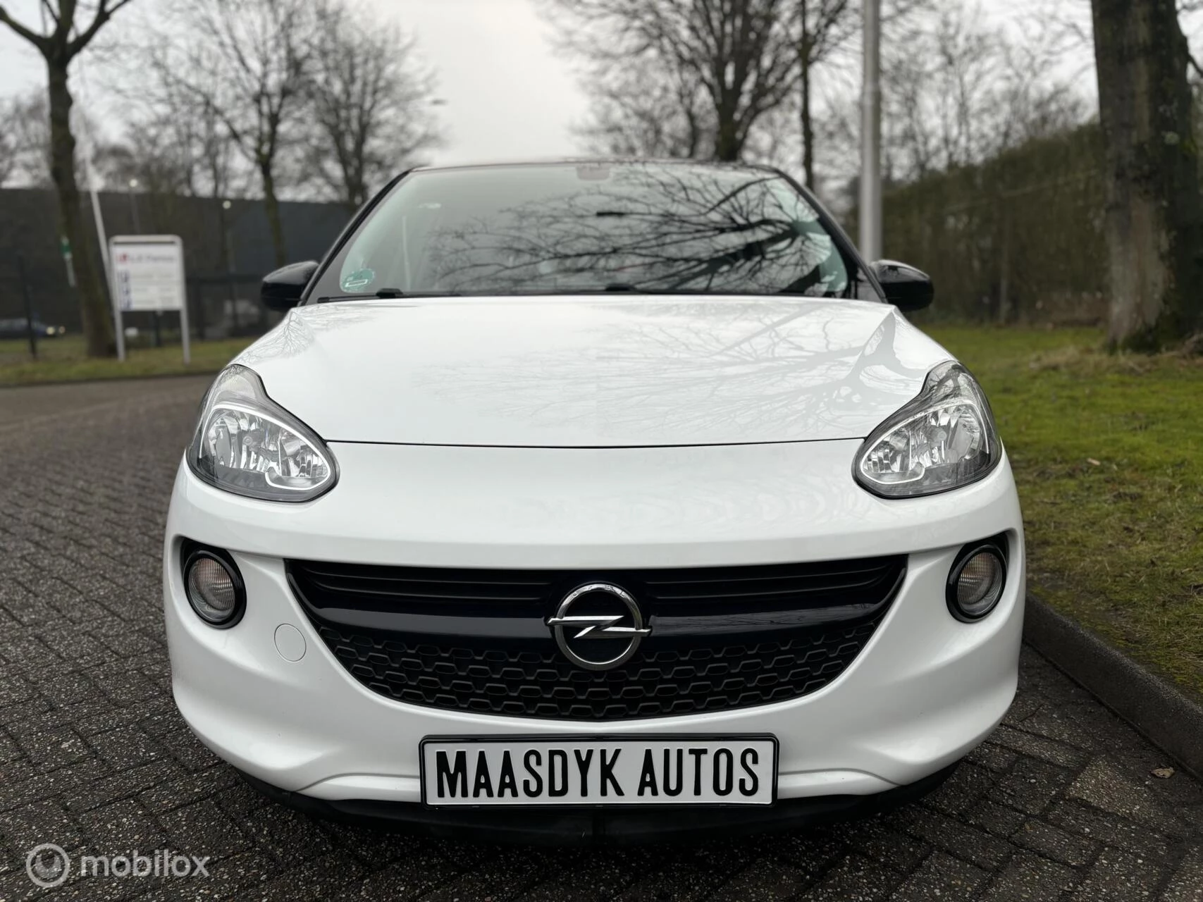 Hoofdafbeelding Opel ADAM