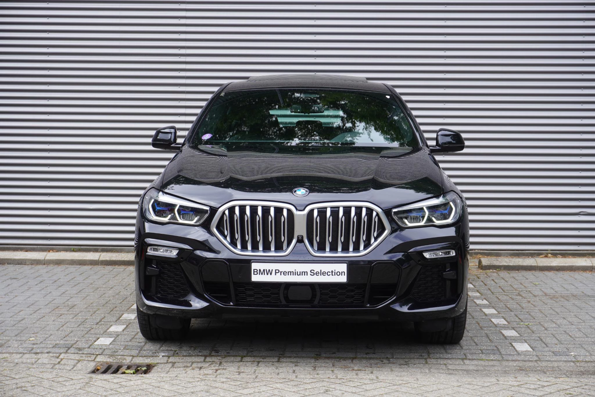 Hoofdafbeelding BMW X6