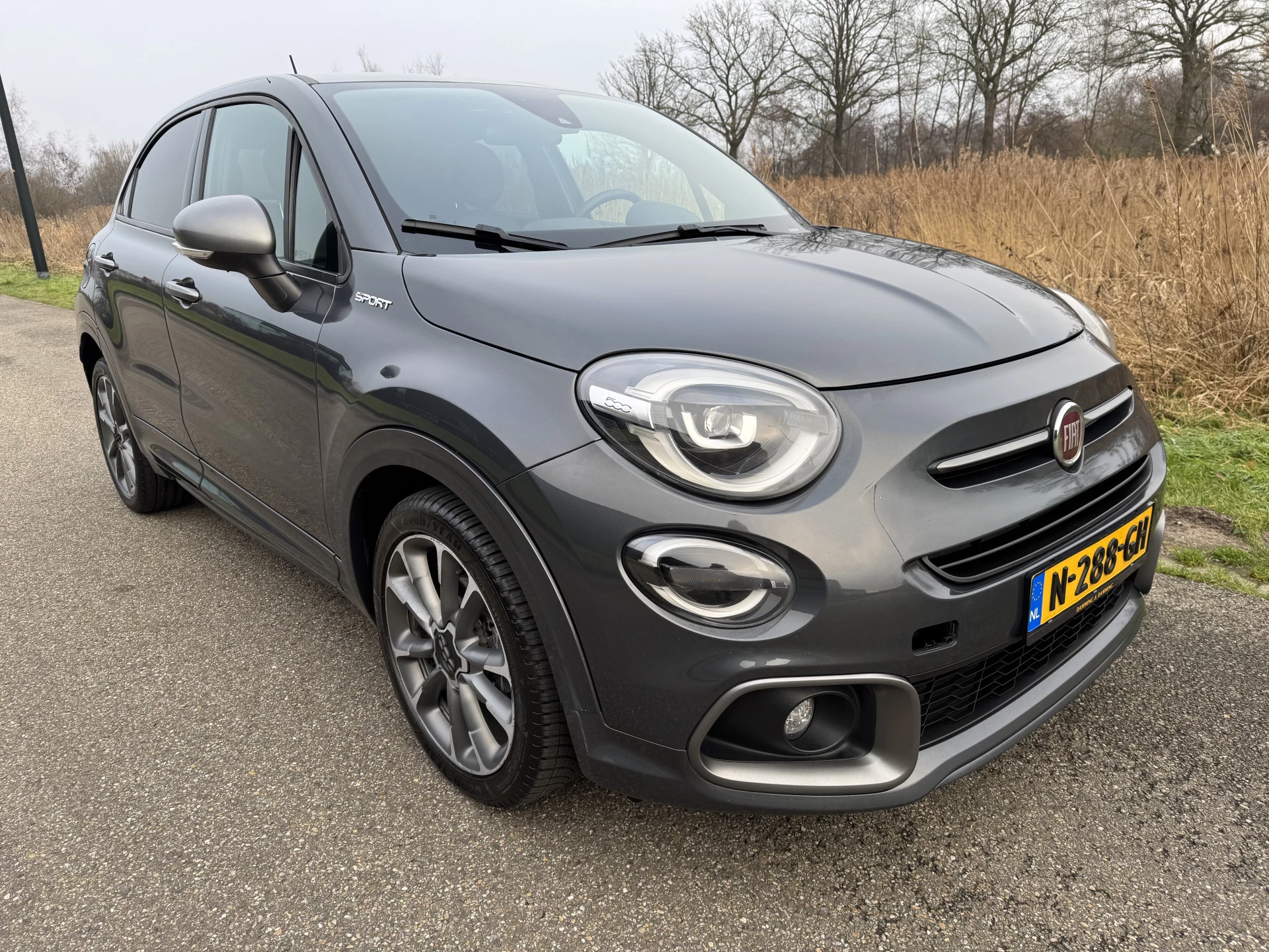 Hoofdafbeelding Fiat 500X