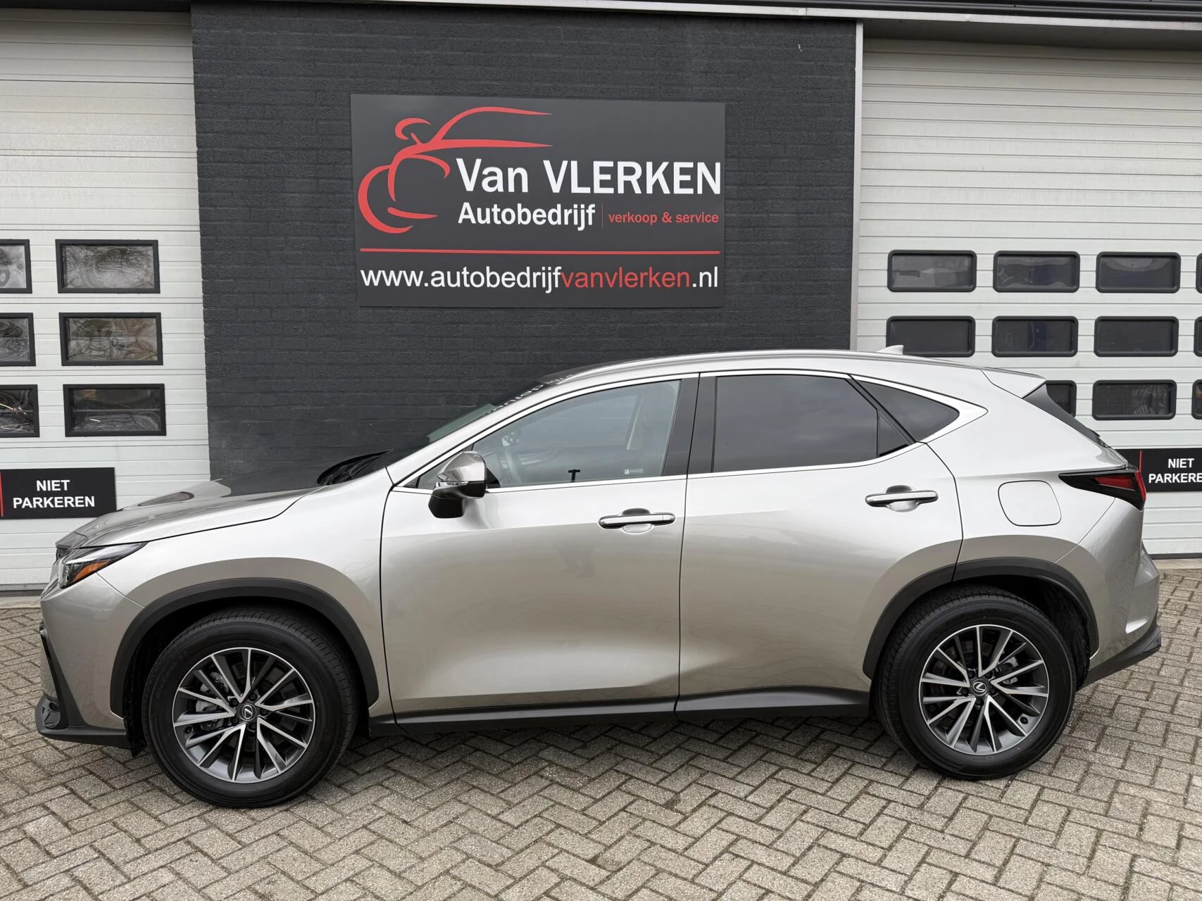 Hoofdafbeelding Lexus NX