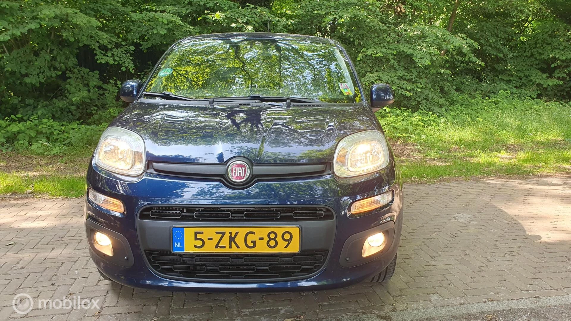 Hoofdafbeelding Fiat Panda