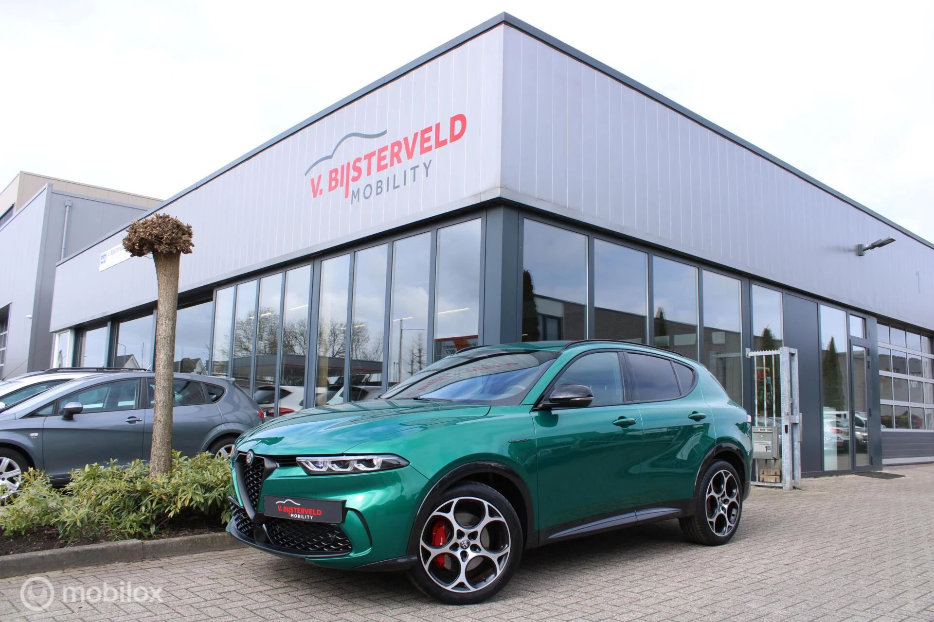 Hoofdafbeelding Alfa Romeo Tonale