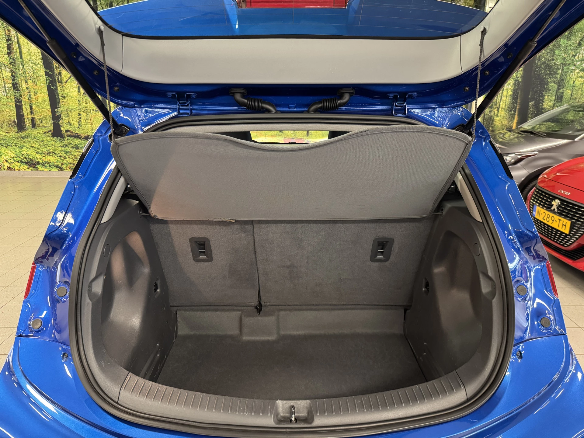 Hoofdafbeelding Opel Ampera-e