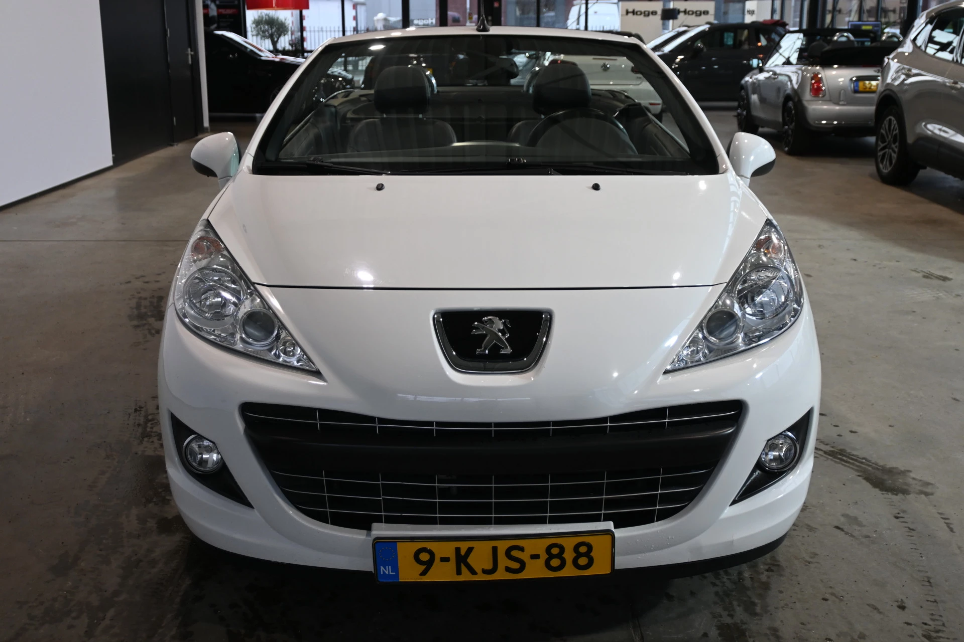 Hoofdafbeelding Peugeot 207