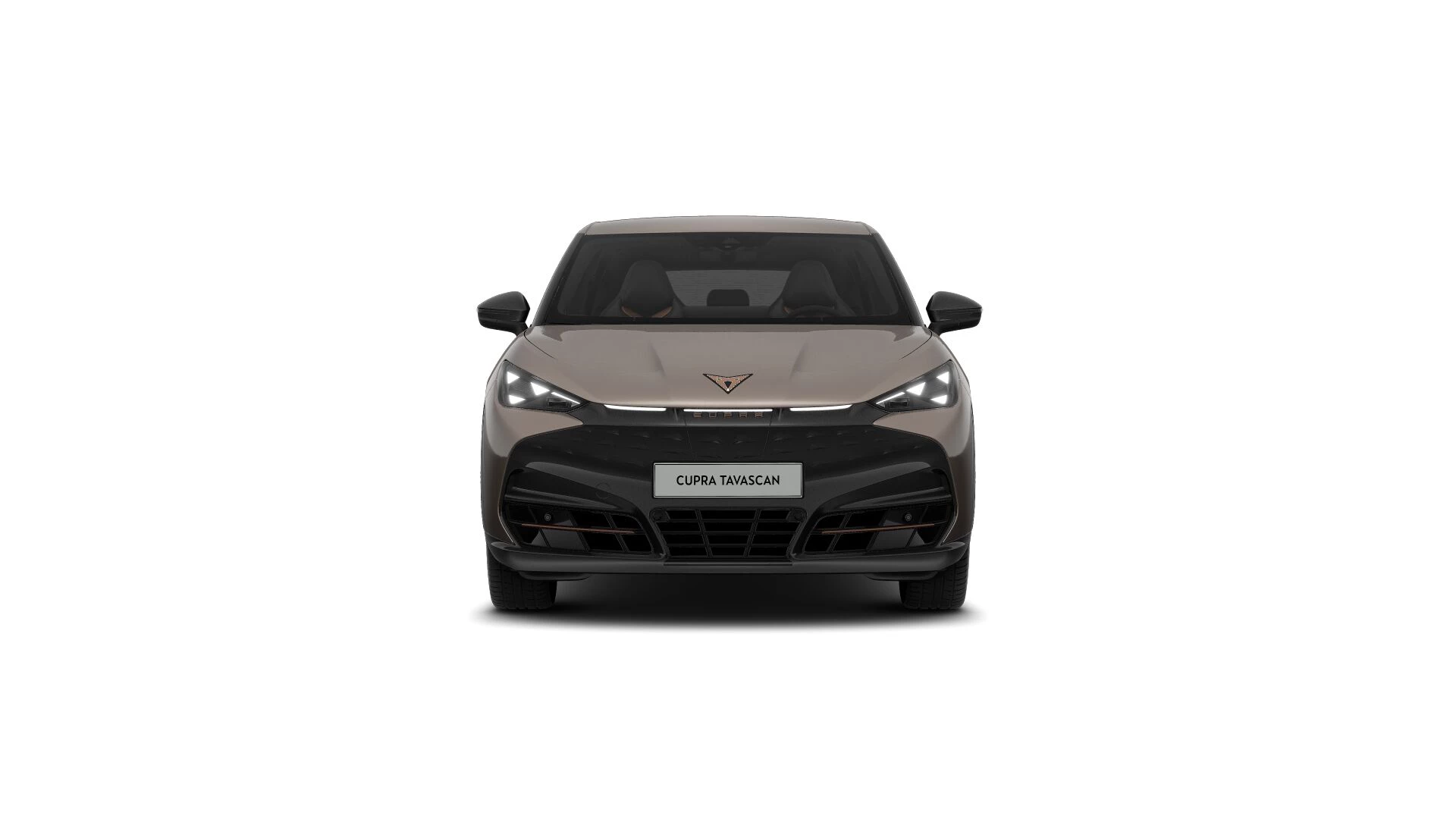 Hoofdafbeelding CUPRA Tavascan