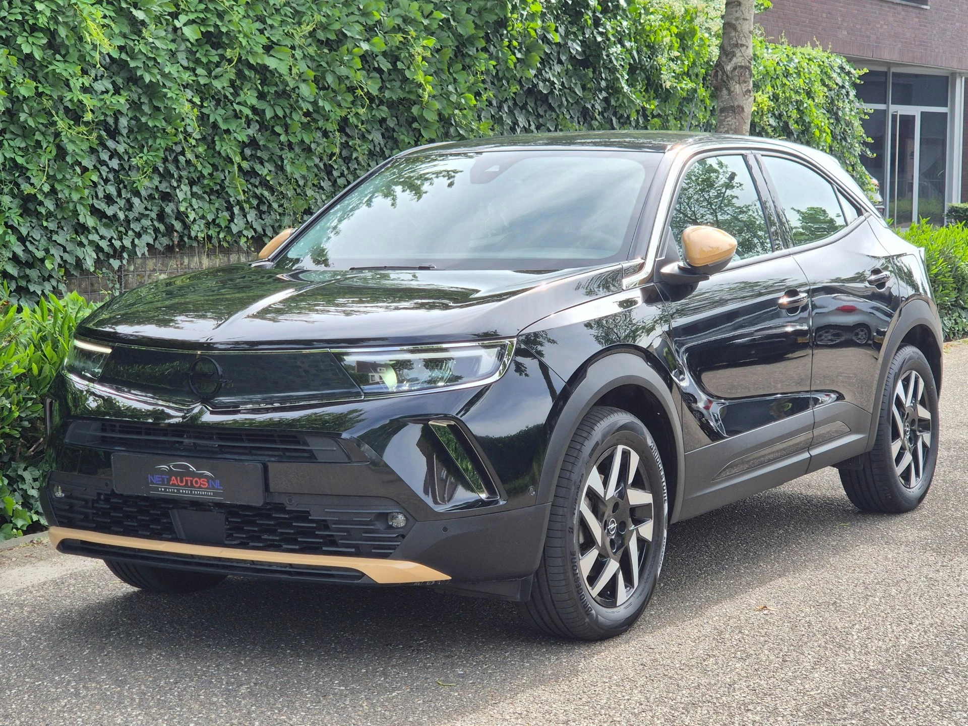 Hoofdafbeelding Opel Mokka-e