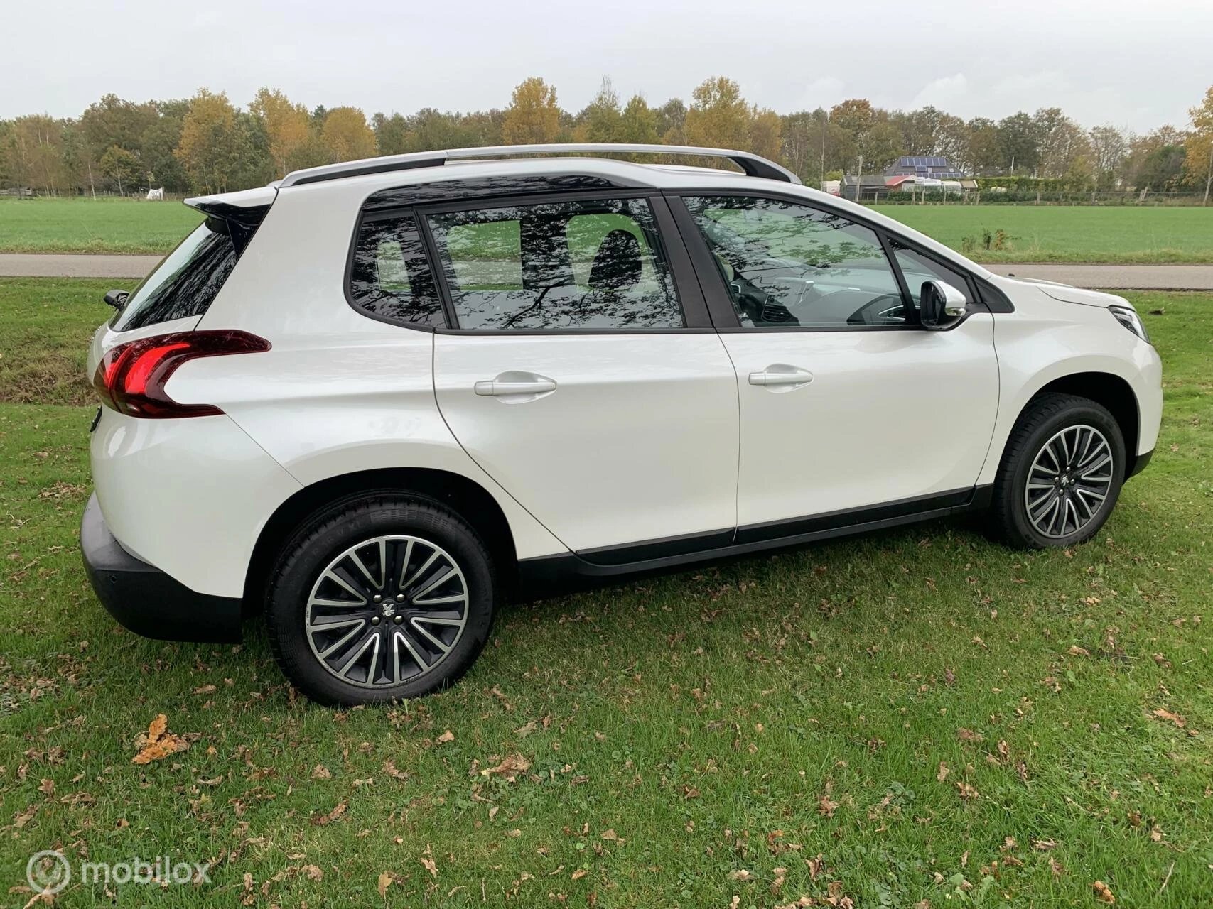 Hoofdafbeelding Peugeot 2008