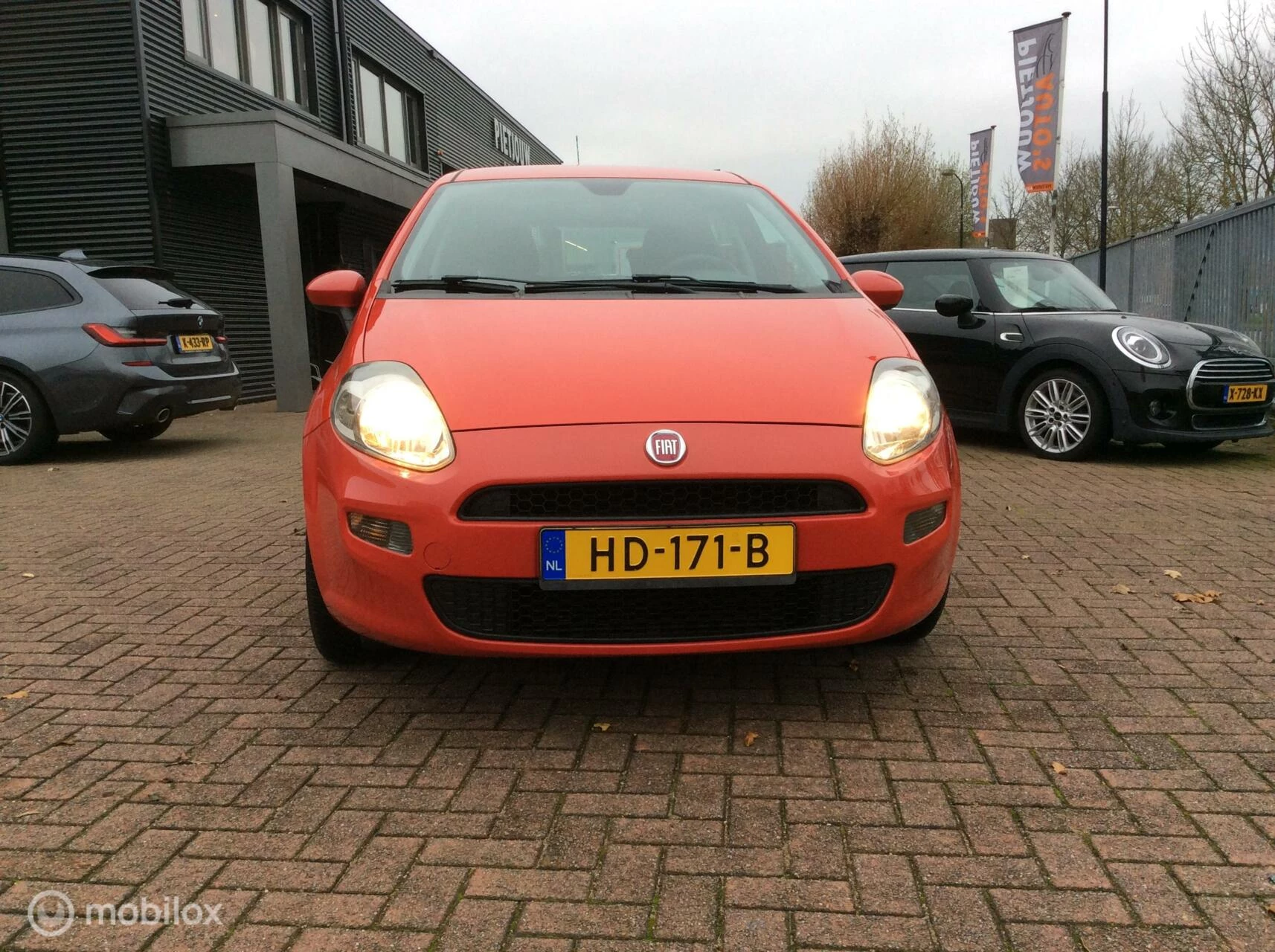 Hoofdafbeelding Fiat Punto