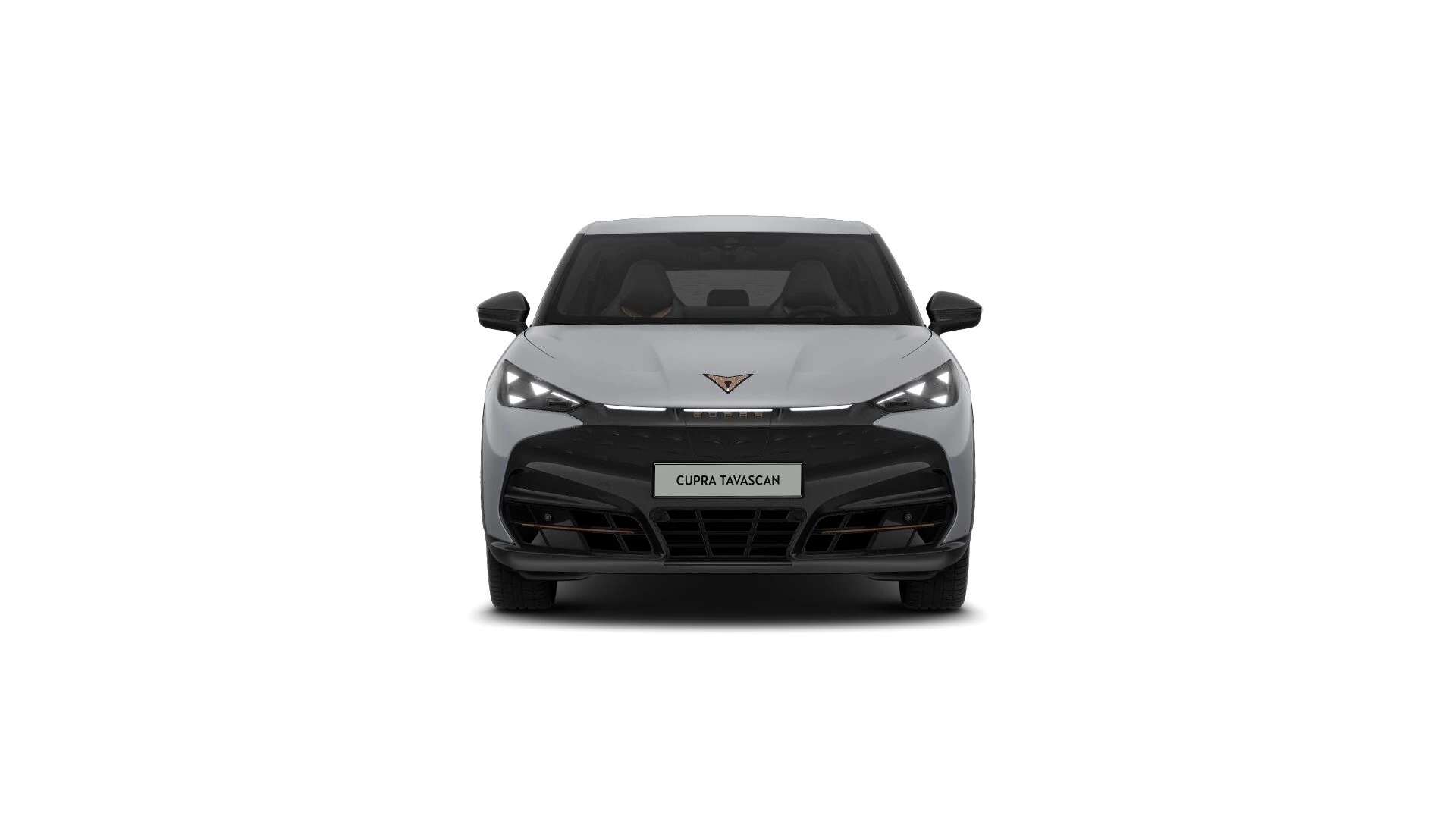 Hoofdafbeelding CUPRA Tavascan