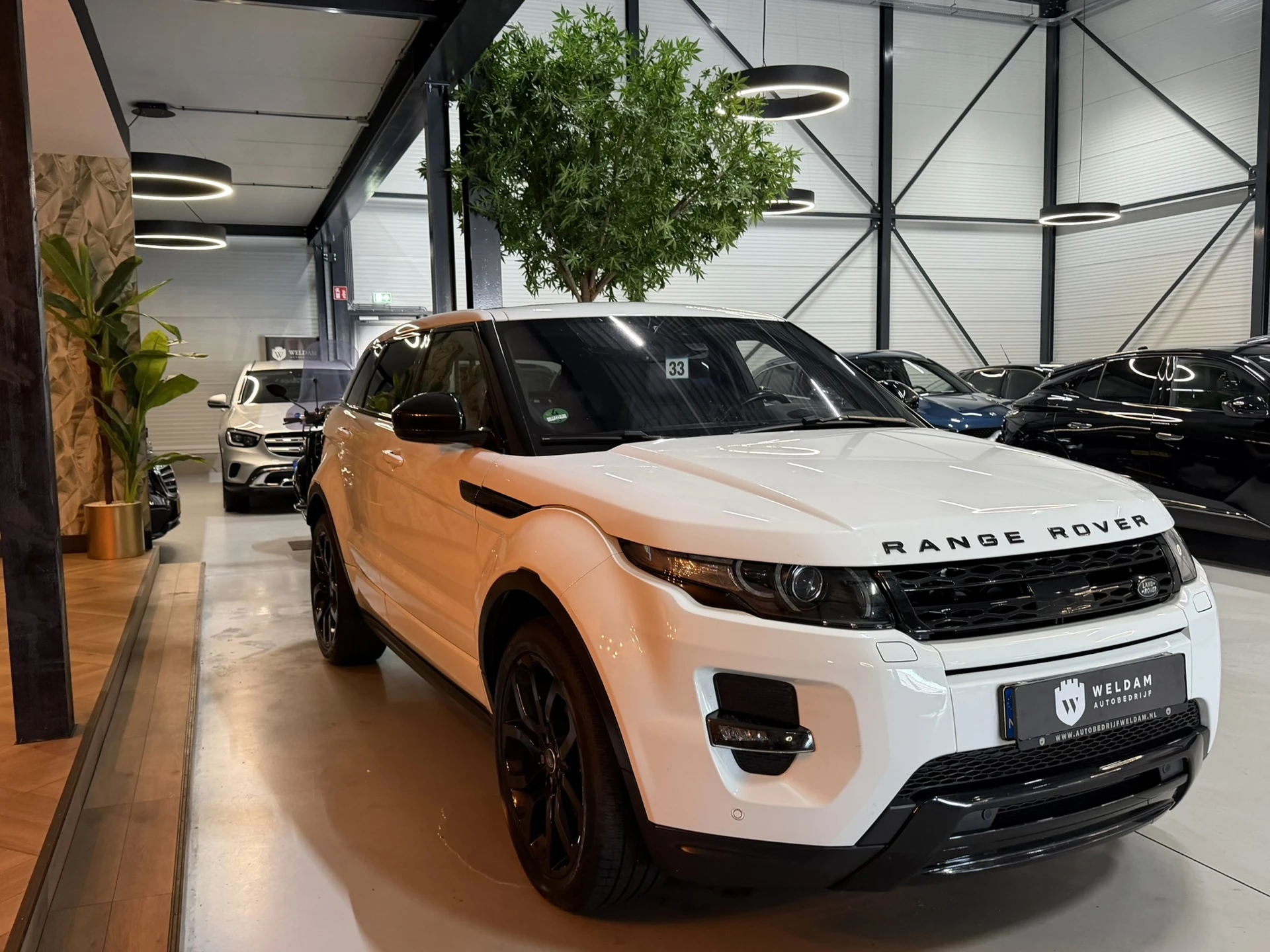 Hoofdafbeelding Land Rover Range Rover Evoque