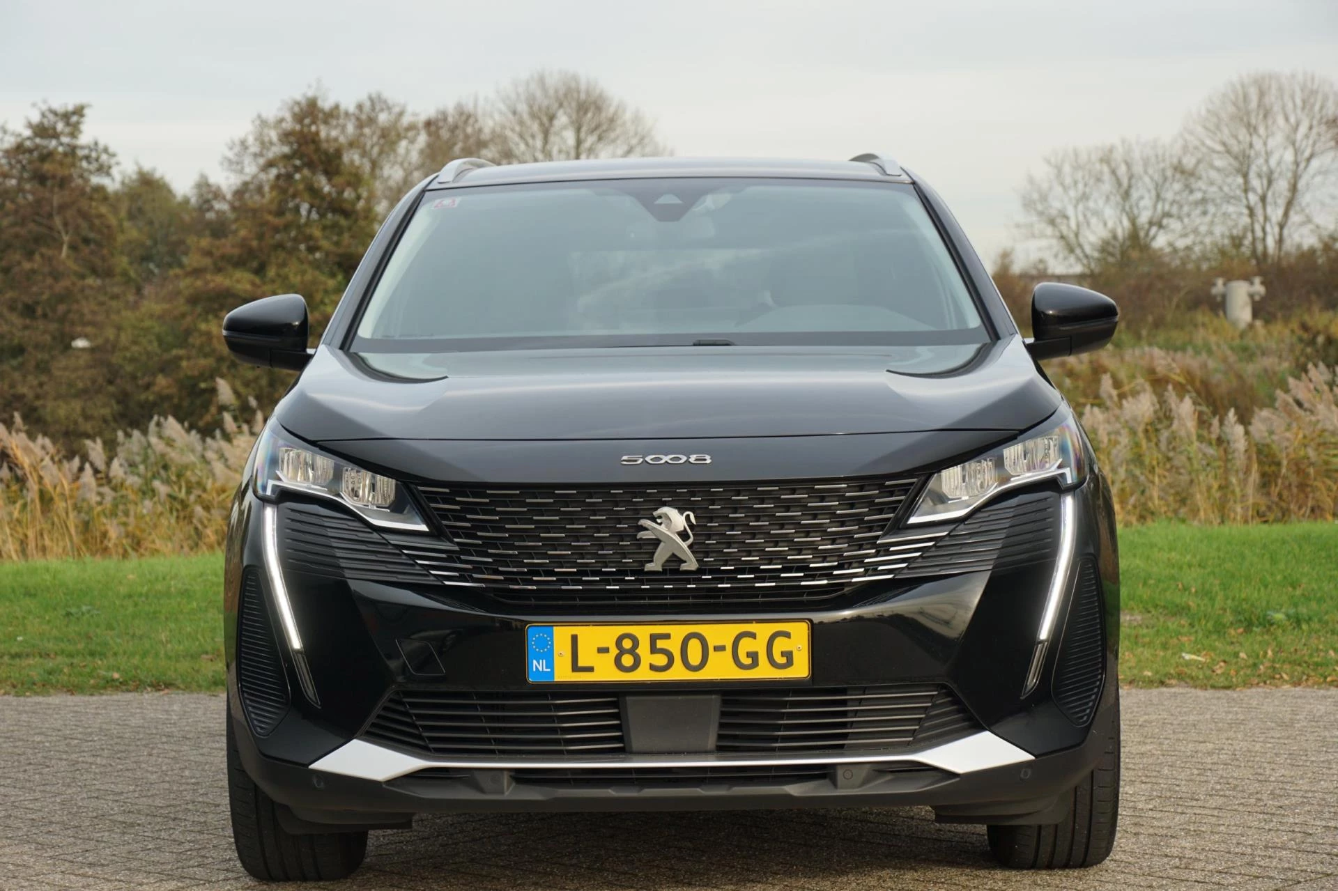 Hoofdafbeelding Peugeot 5008