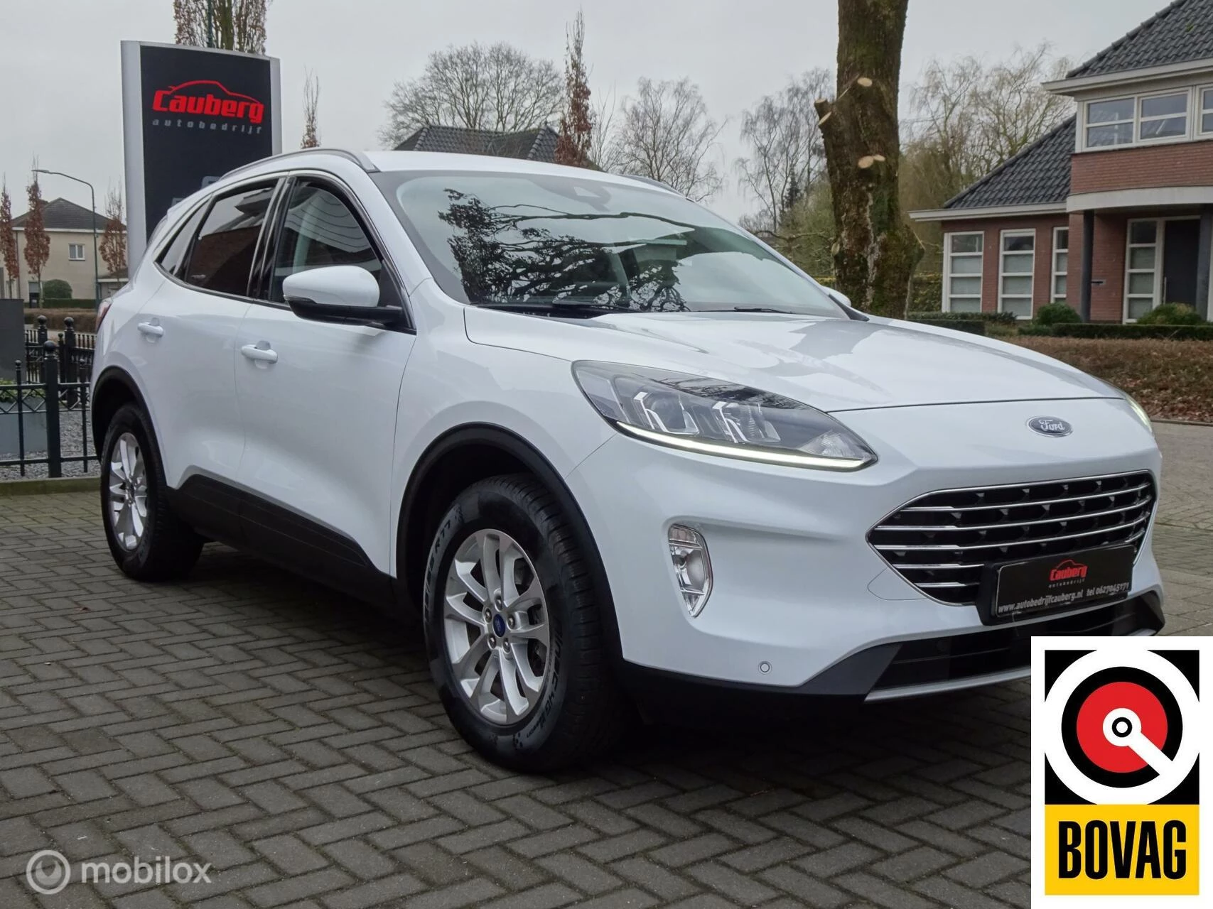 Hoofdafbeelding Ford Kuga