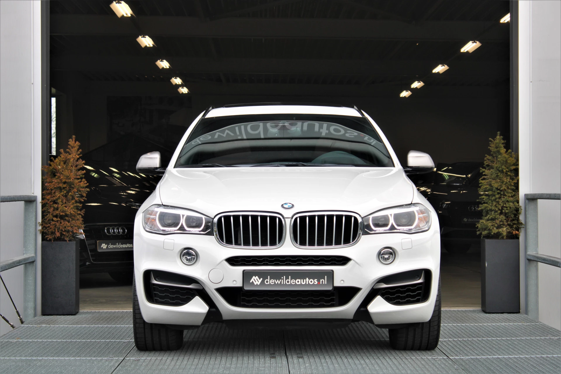 Hoofdafbeelding BMW X6