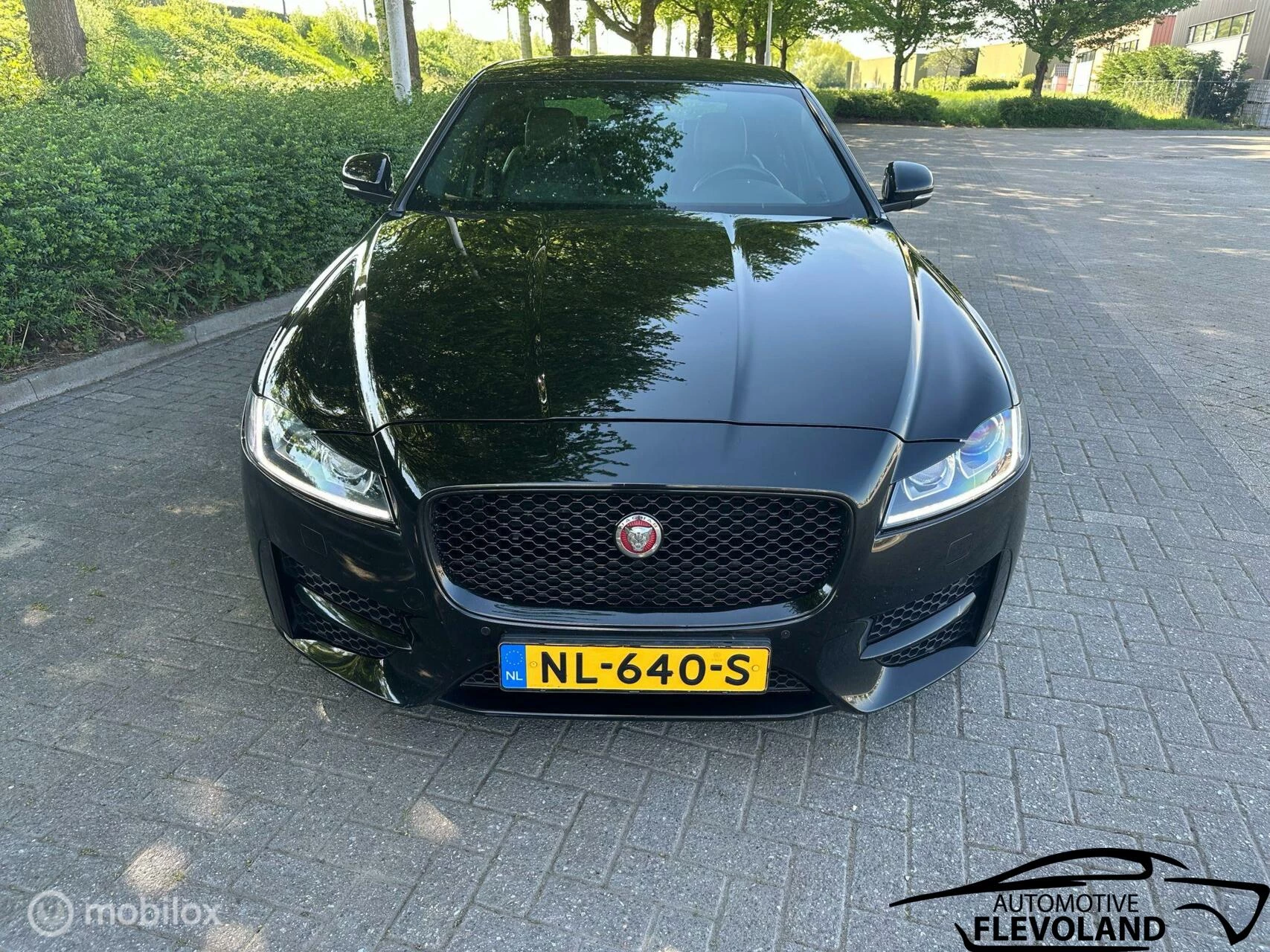 Hoofdafbeelding Jaguar XF