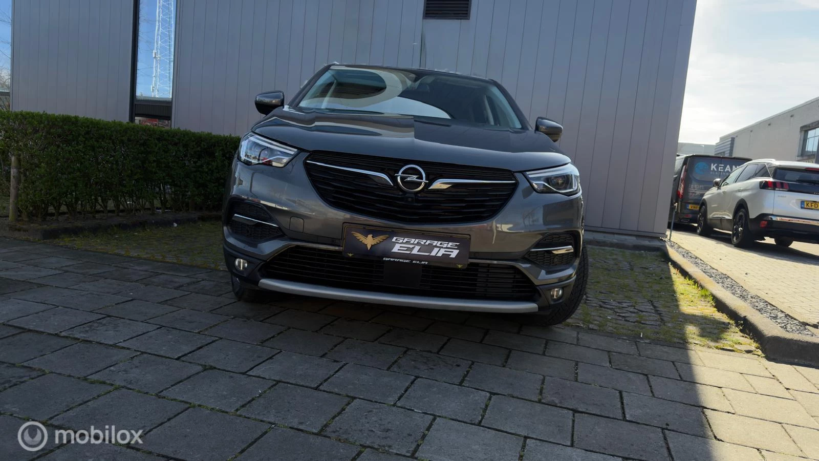 Hoofdafbeelding Opel Grandland X