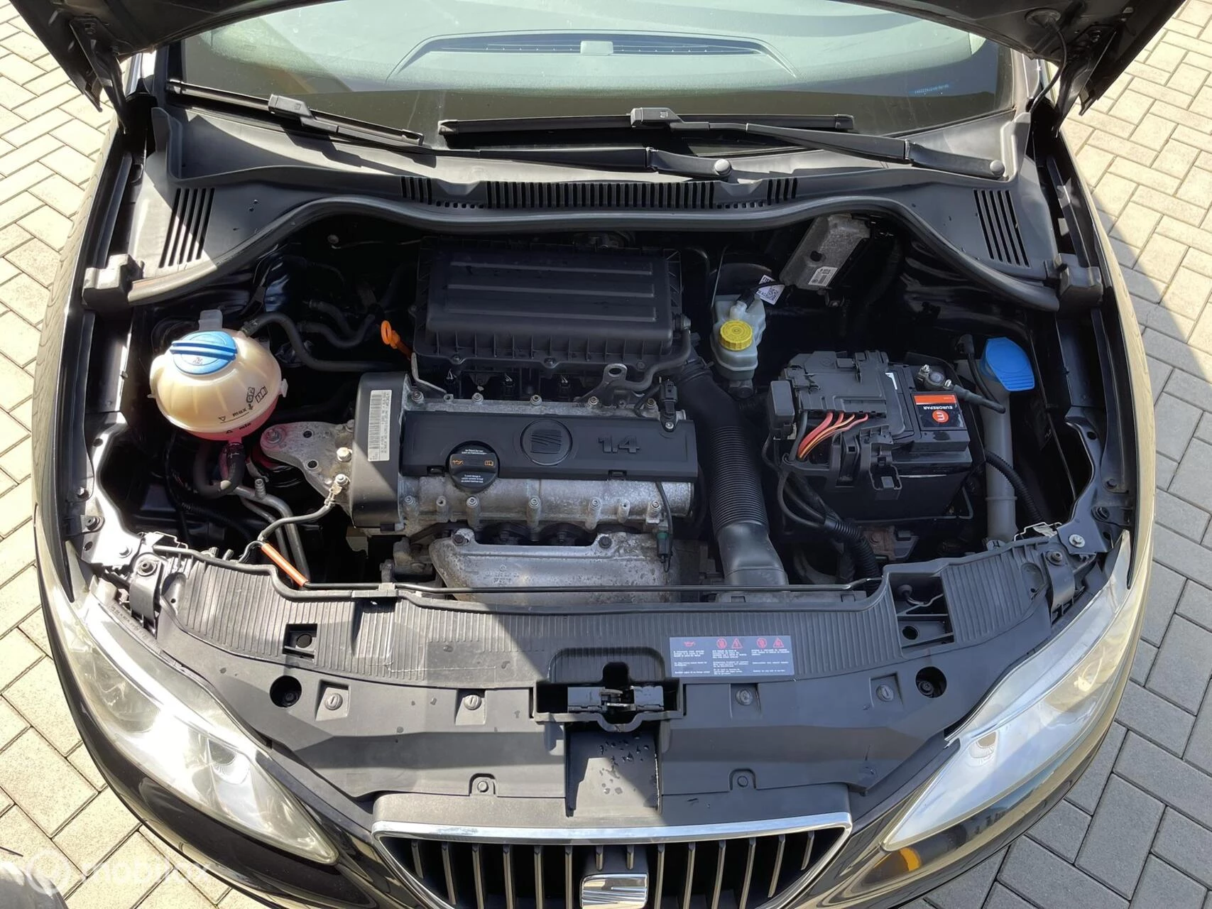 Hoofdafbeelding SEAT Ibiza