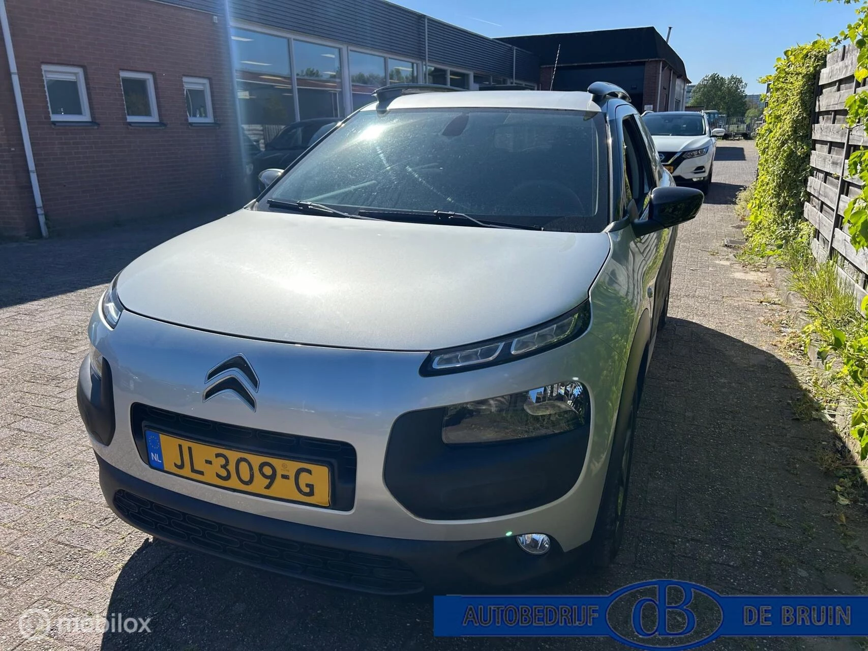 Hoofdafbeelding Citroën C4 Cactus