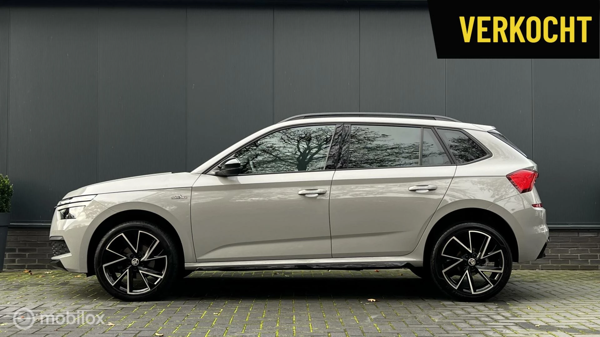 Hoofdafbeelding Škoda Kamiq