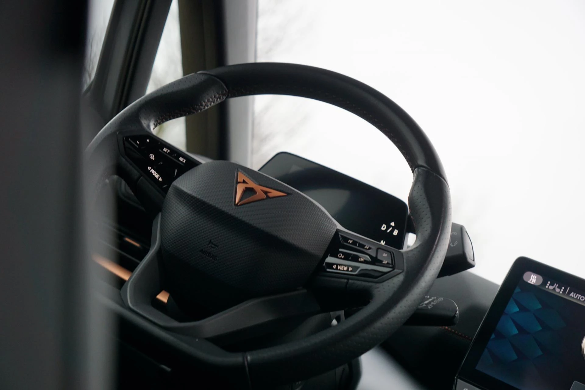 Hoofdafbeelding CUPRA Born