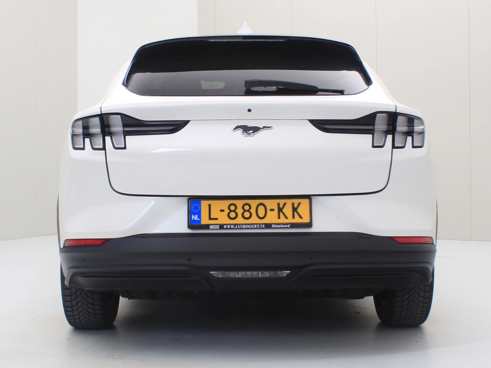 Hoofdafbeelding Ford Mustang Mach-E