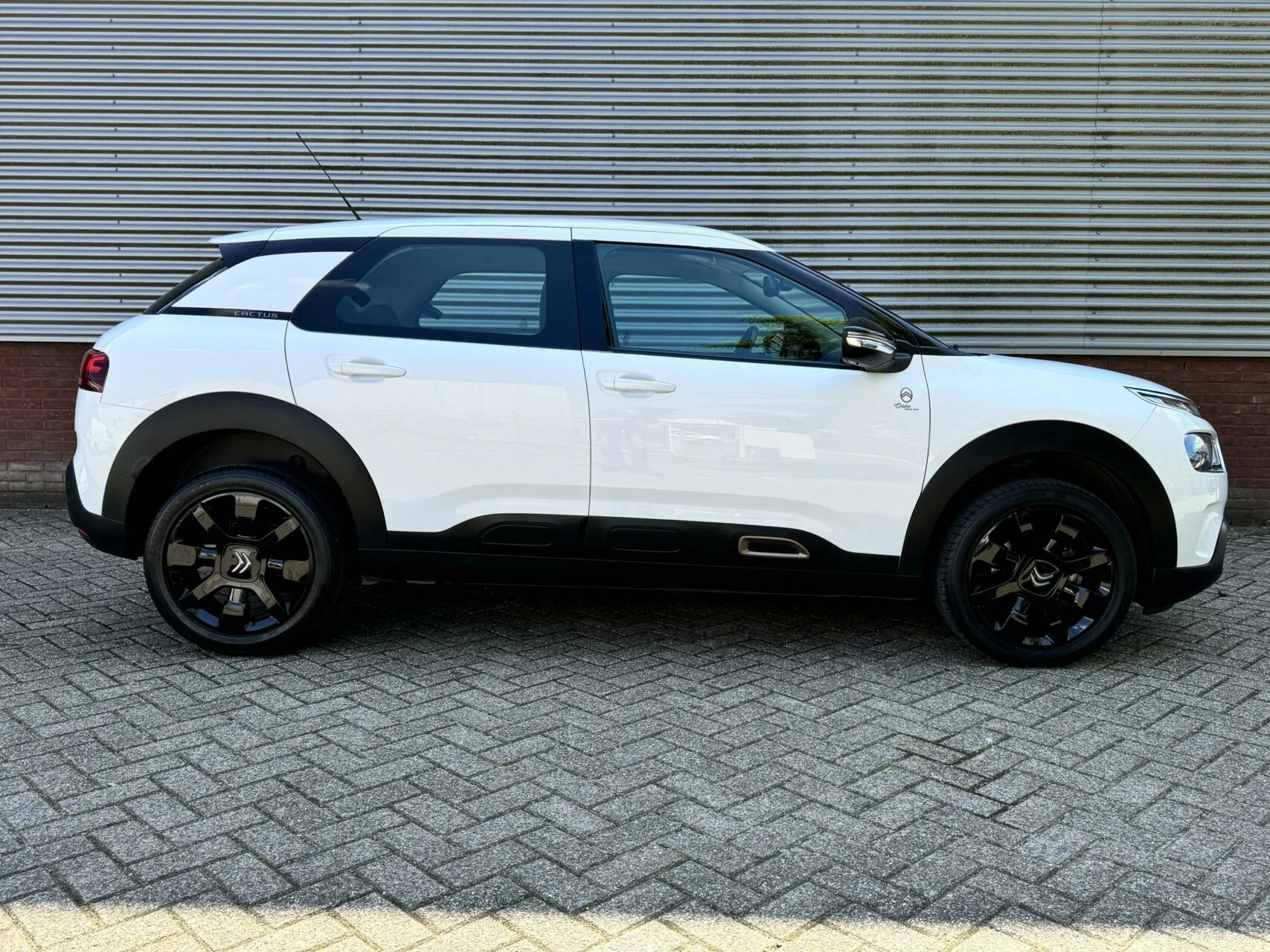 Hoofdafbeelding Citroën C4 Cactus