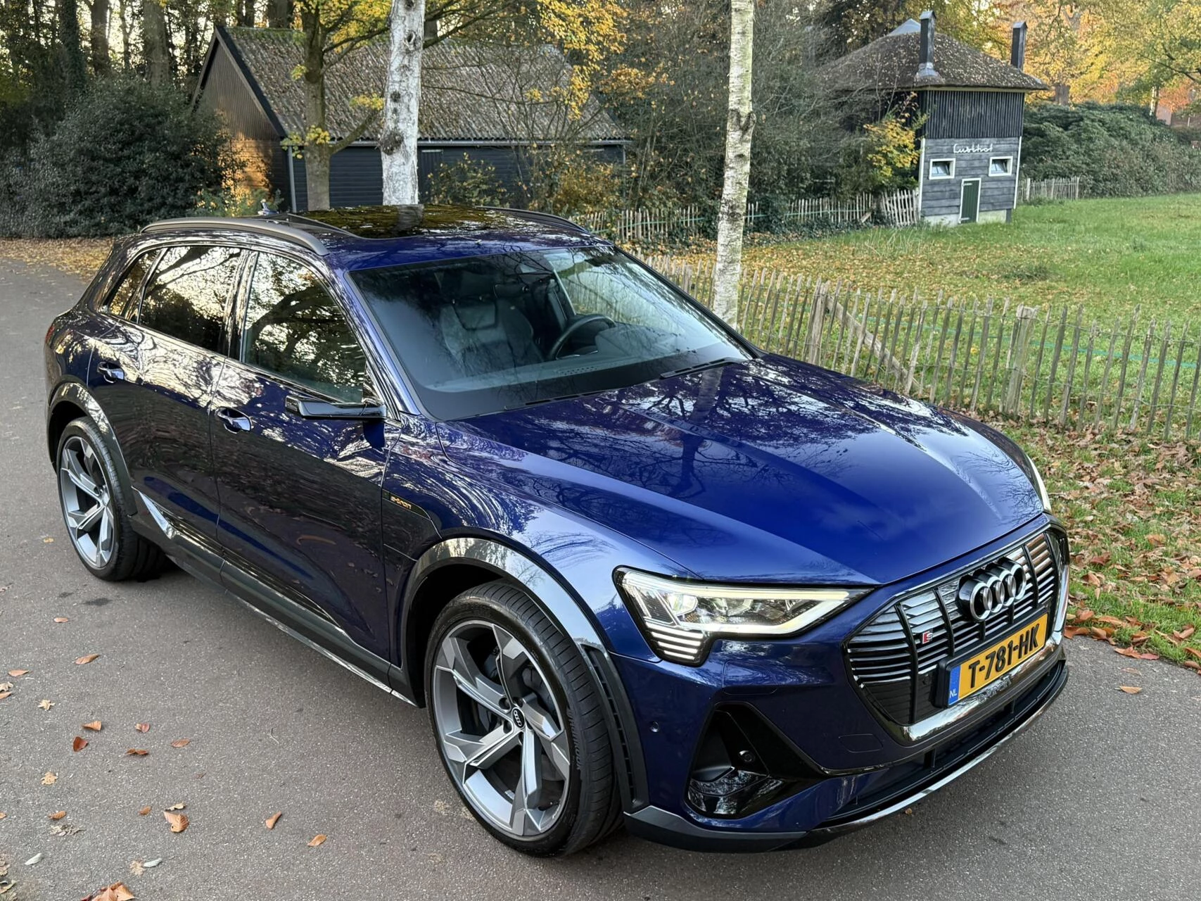 Hoofdafbeelding Audi e-tron