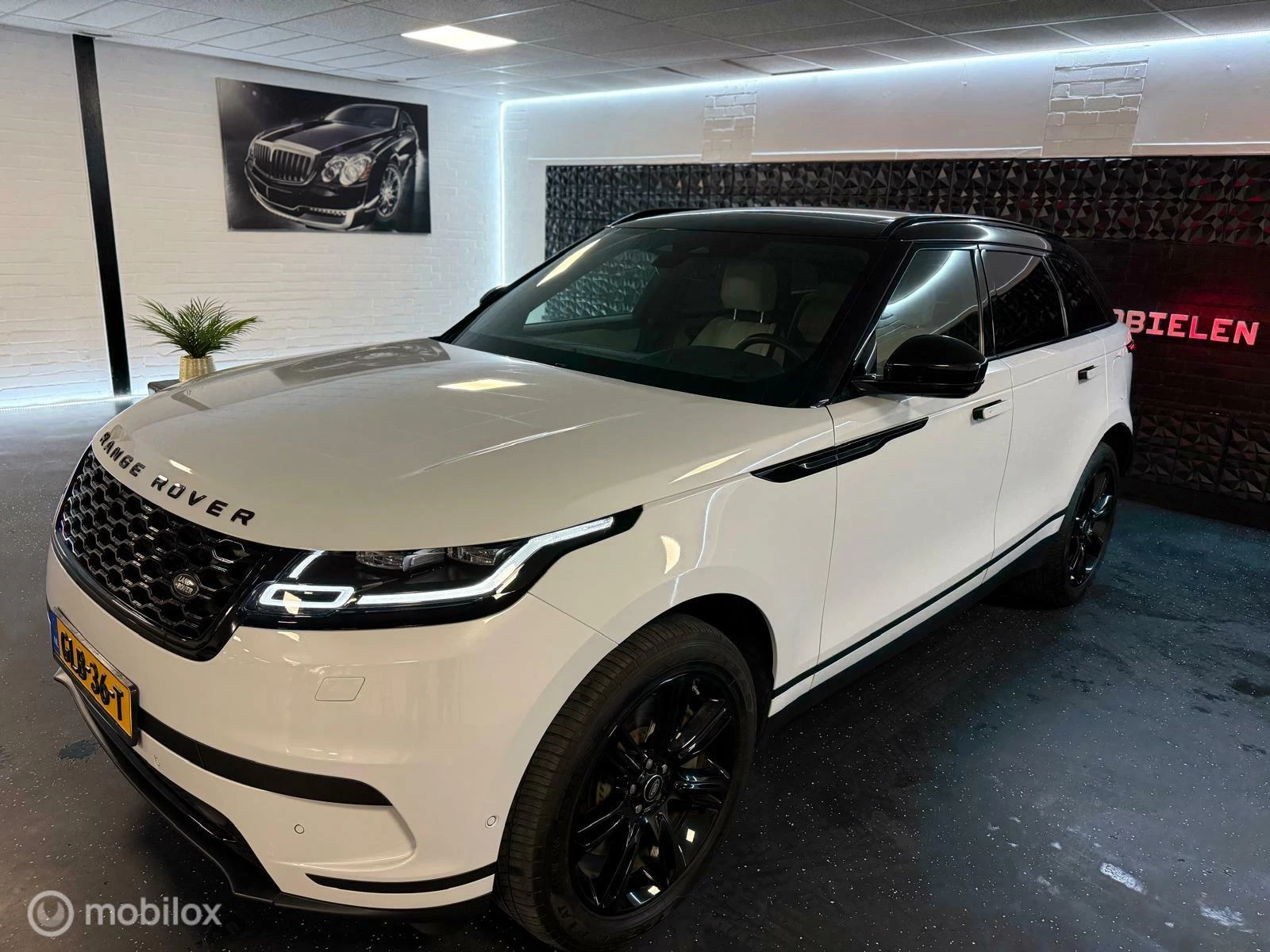 Hoofdafbeelding Land Rover Range Rover Velar