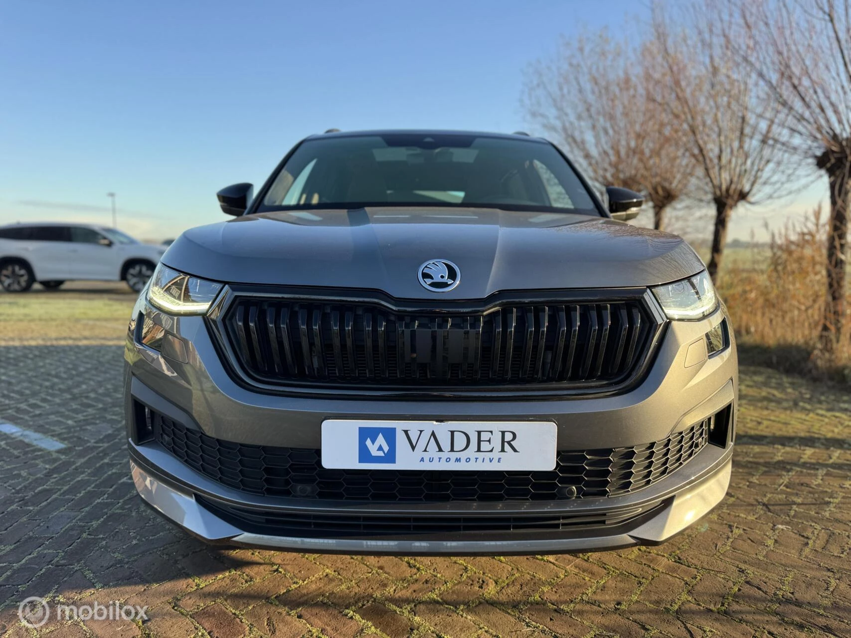 Hoofdafbeelding Škoda Kodiaq