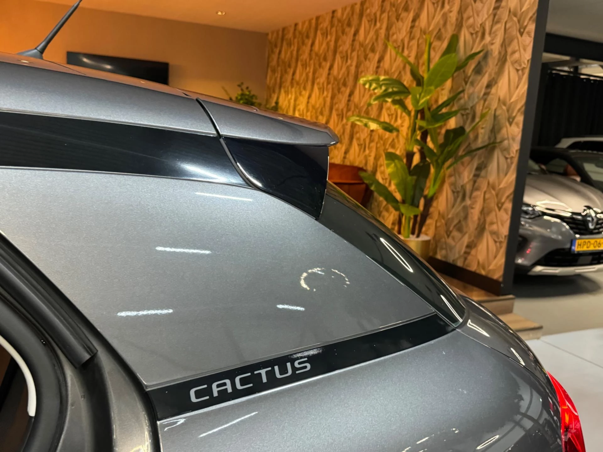 Hoofdafbeelding Citroën C4 Cactus