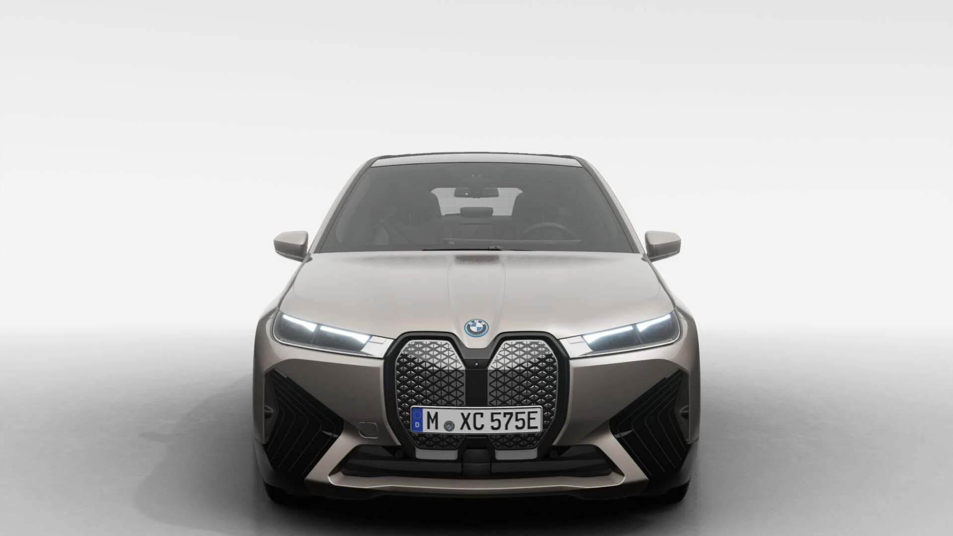 Hoofdafbeelding BMW iX
