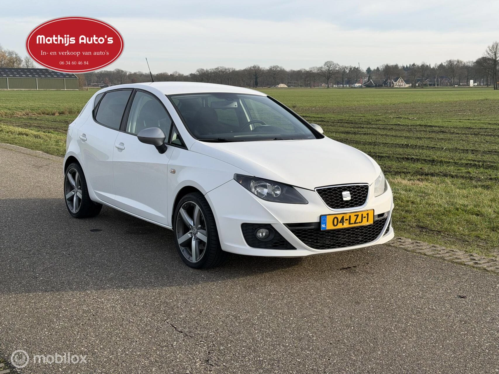 Hoofdafbeelding SEAT Ibiza